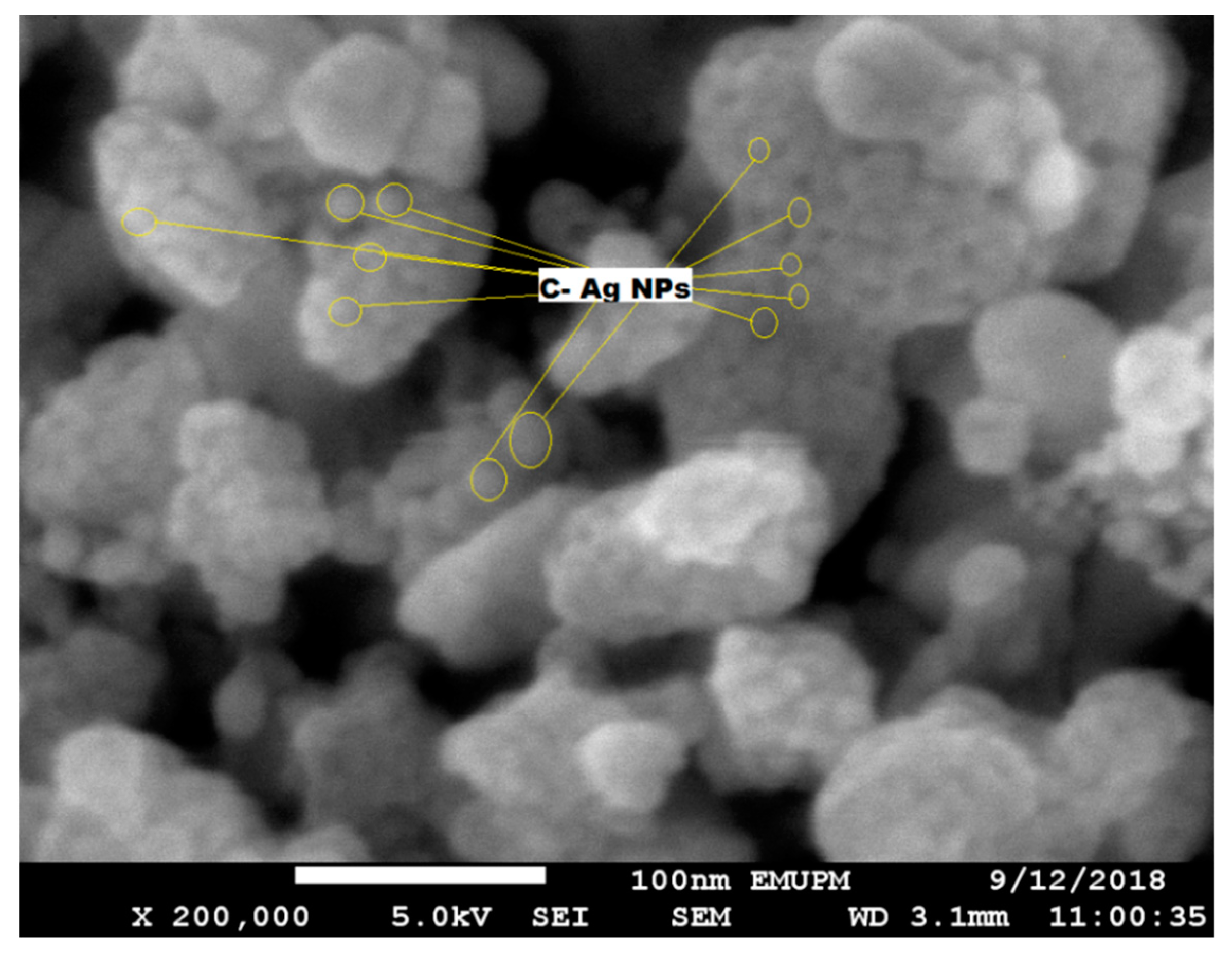 Molecules 24 00719 g006 Molecules 24 00719 g006