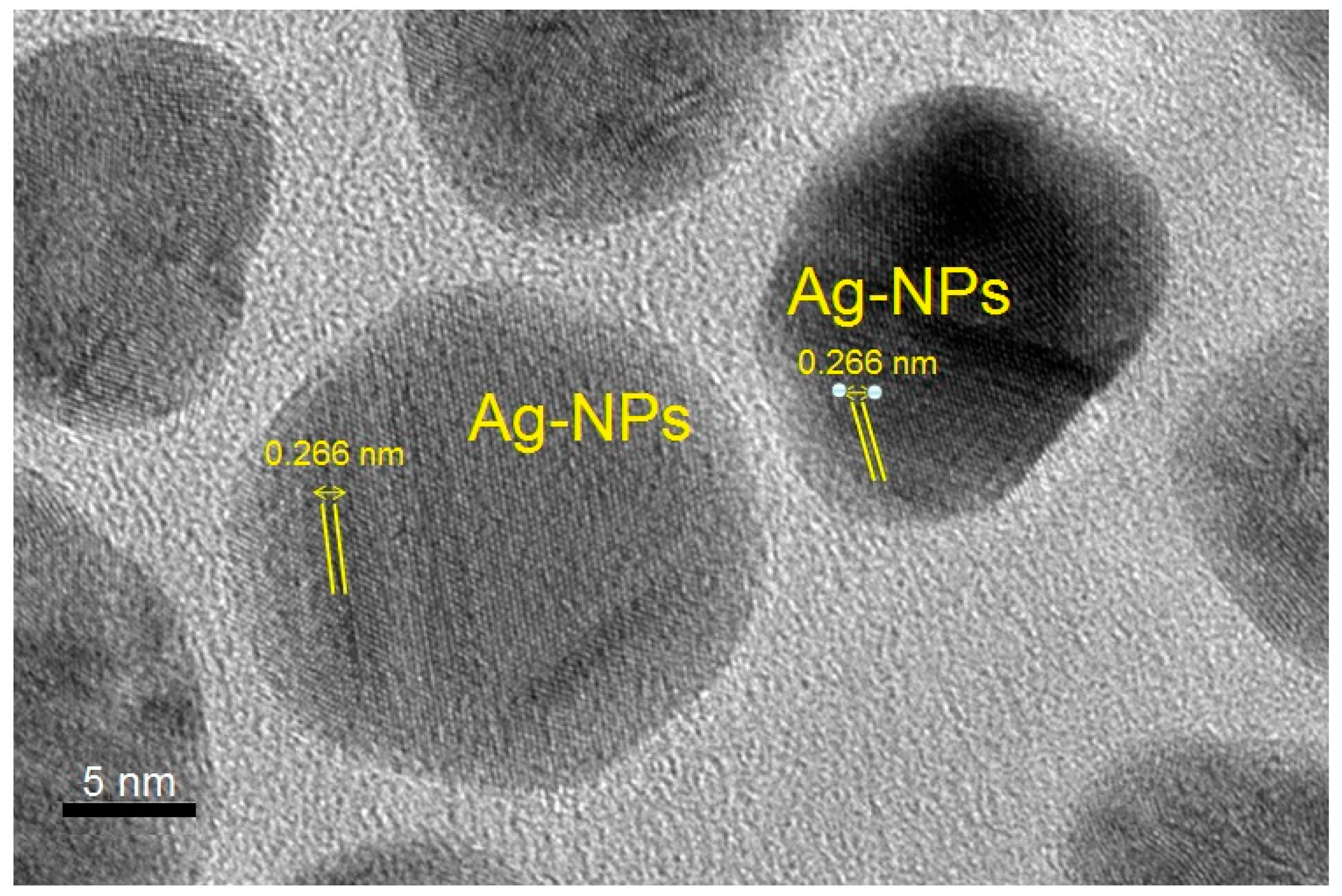 Molecules 24 00719 g009 Molecules 24 00719 g009