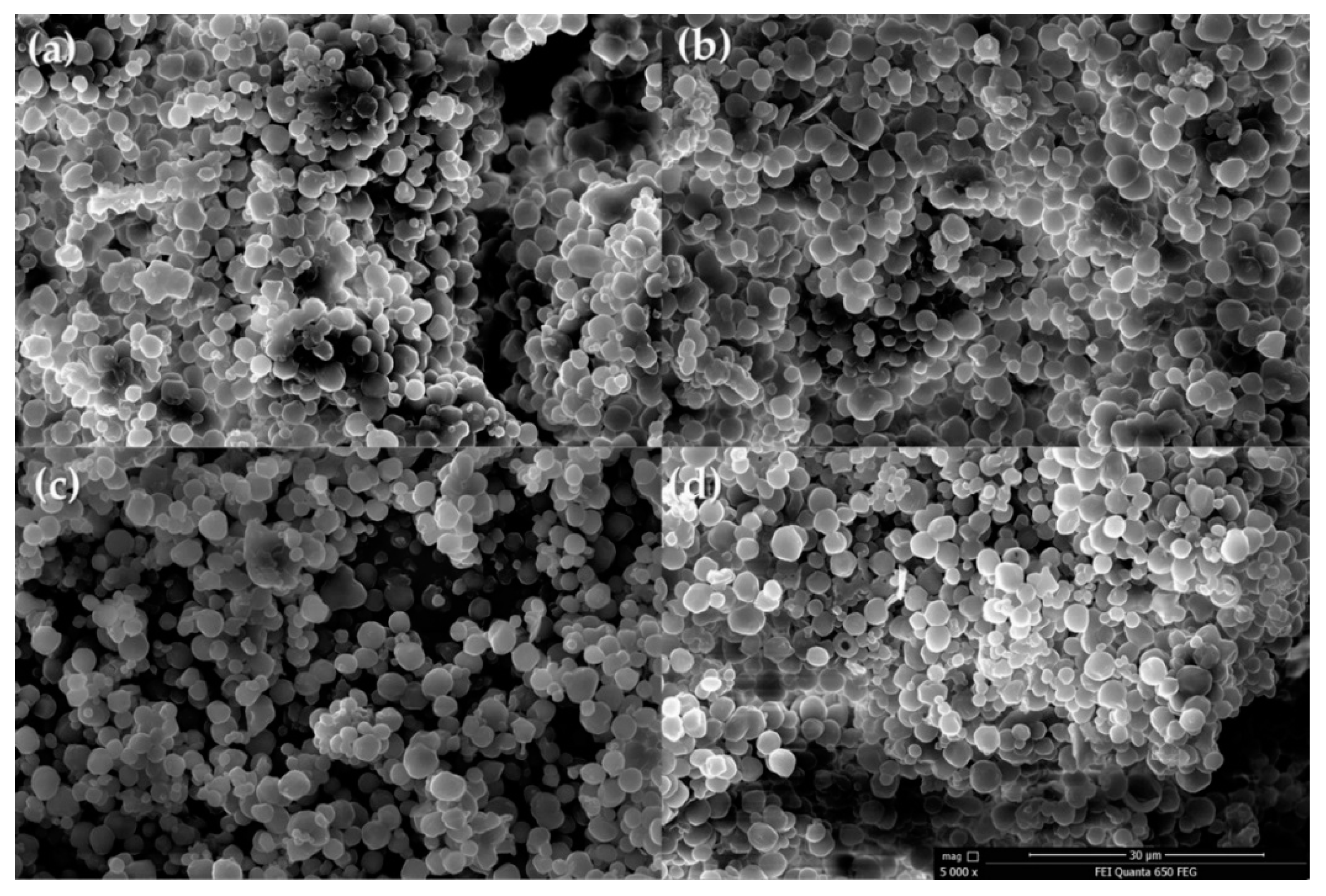 Molecules 24 00723 g007