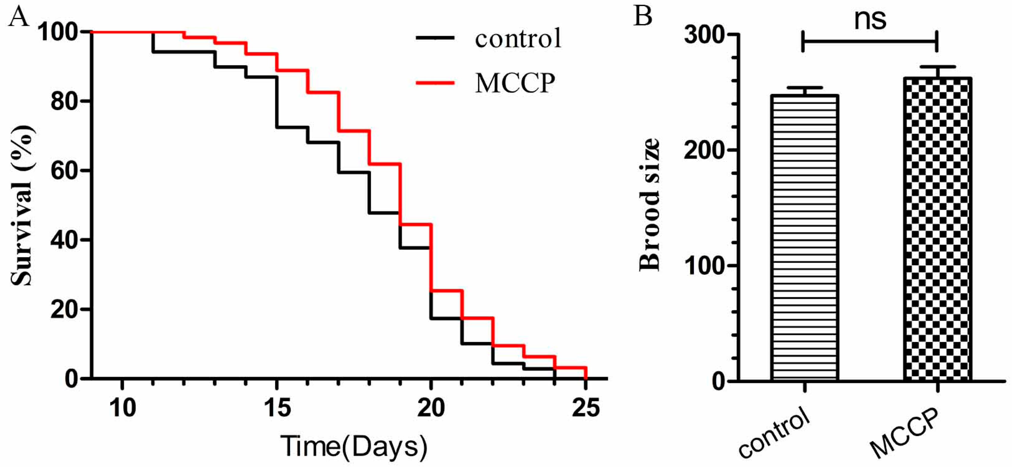 Molecules 24 00729 g005