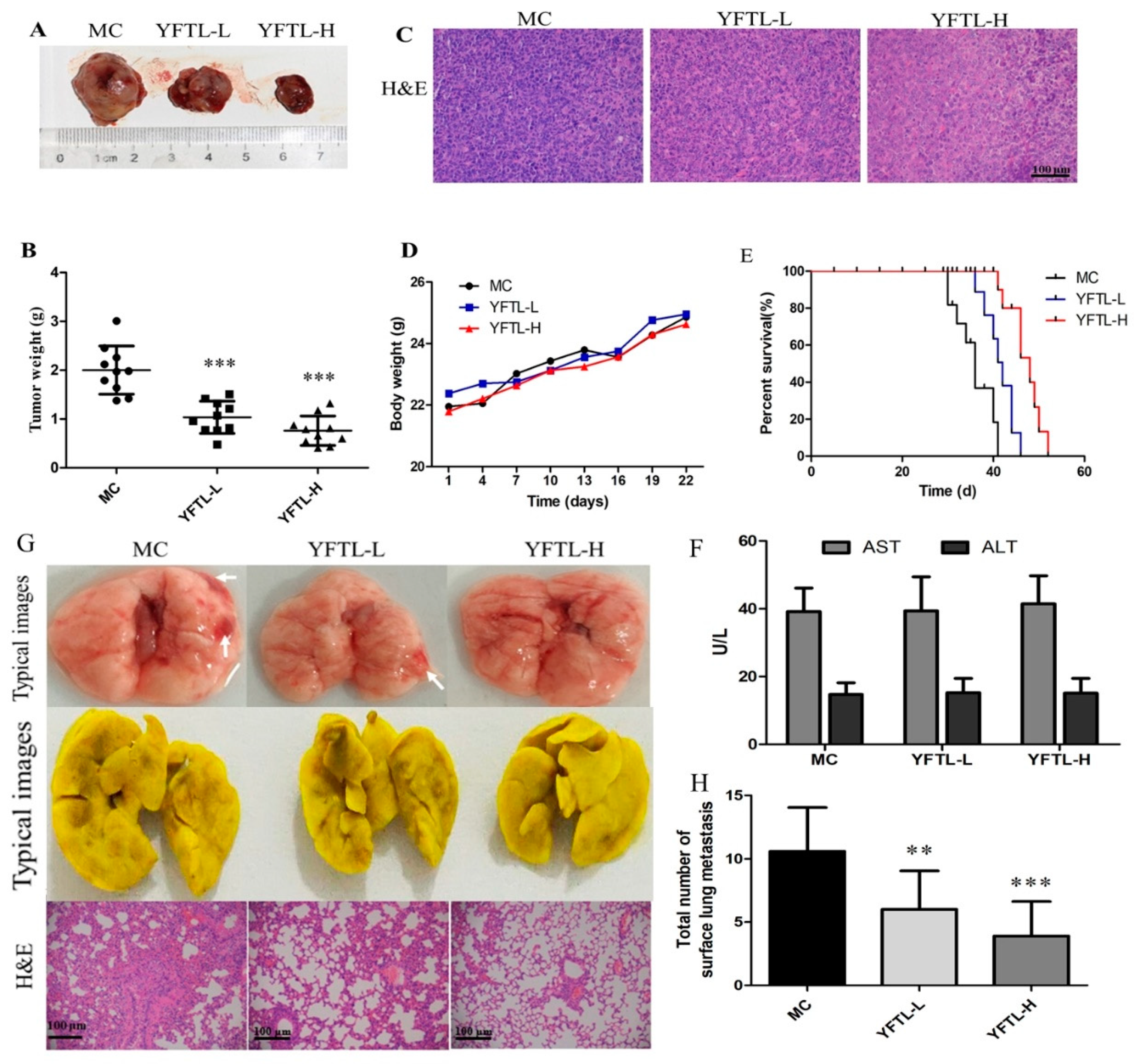 Molecules 24 00731 g001
