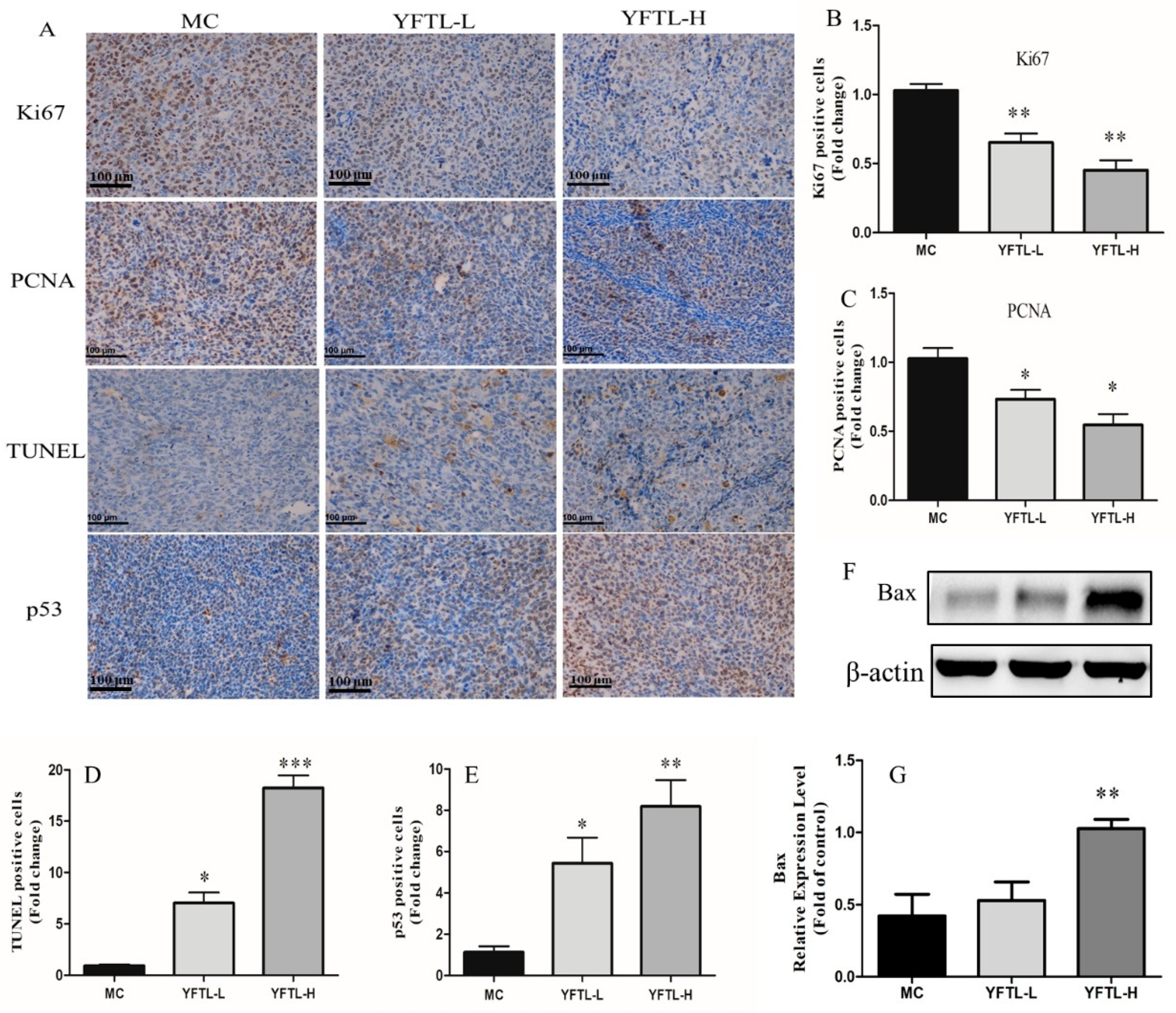 Molecules 24 00731 g002
