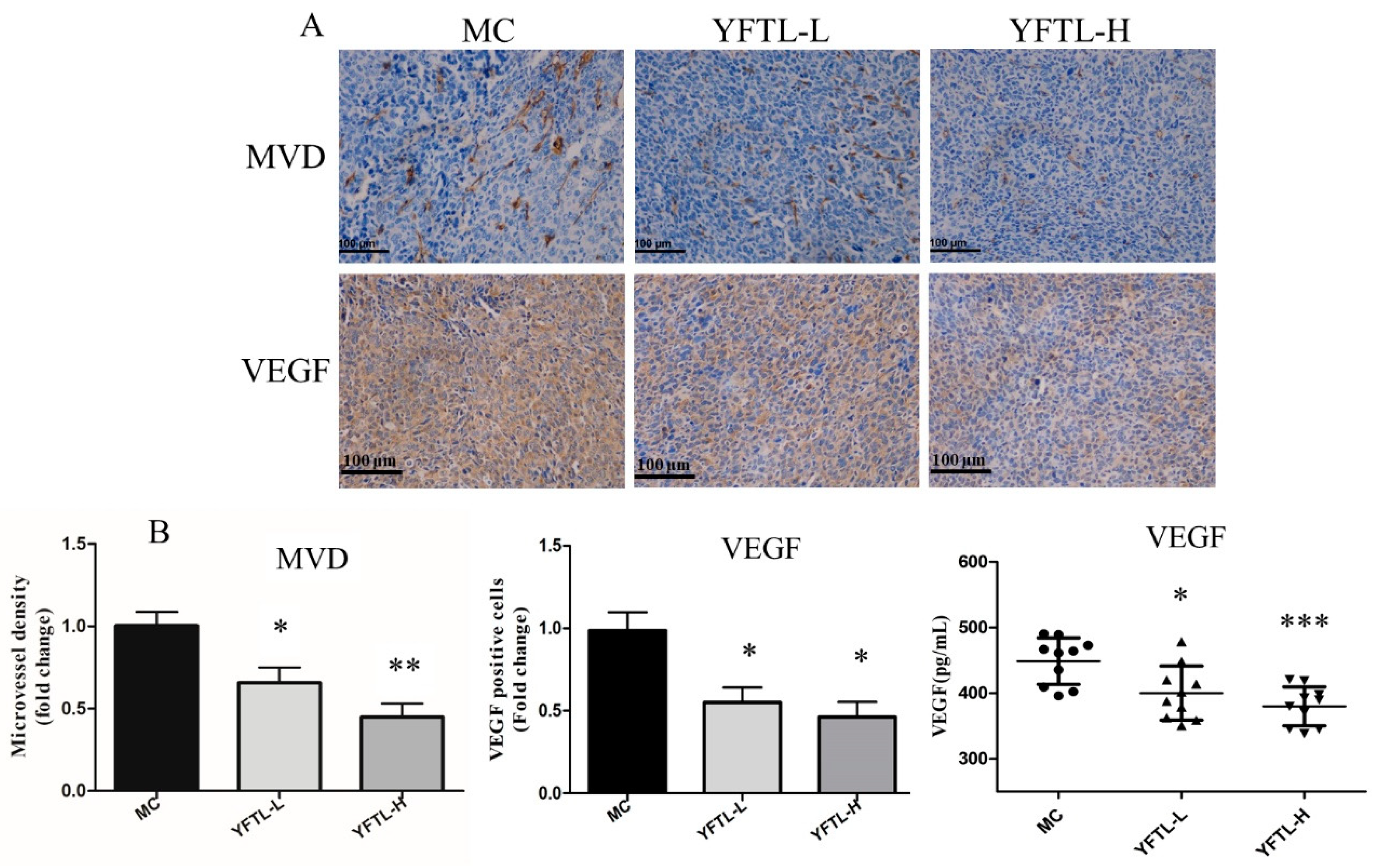 Molecules 24 00731 g003