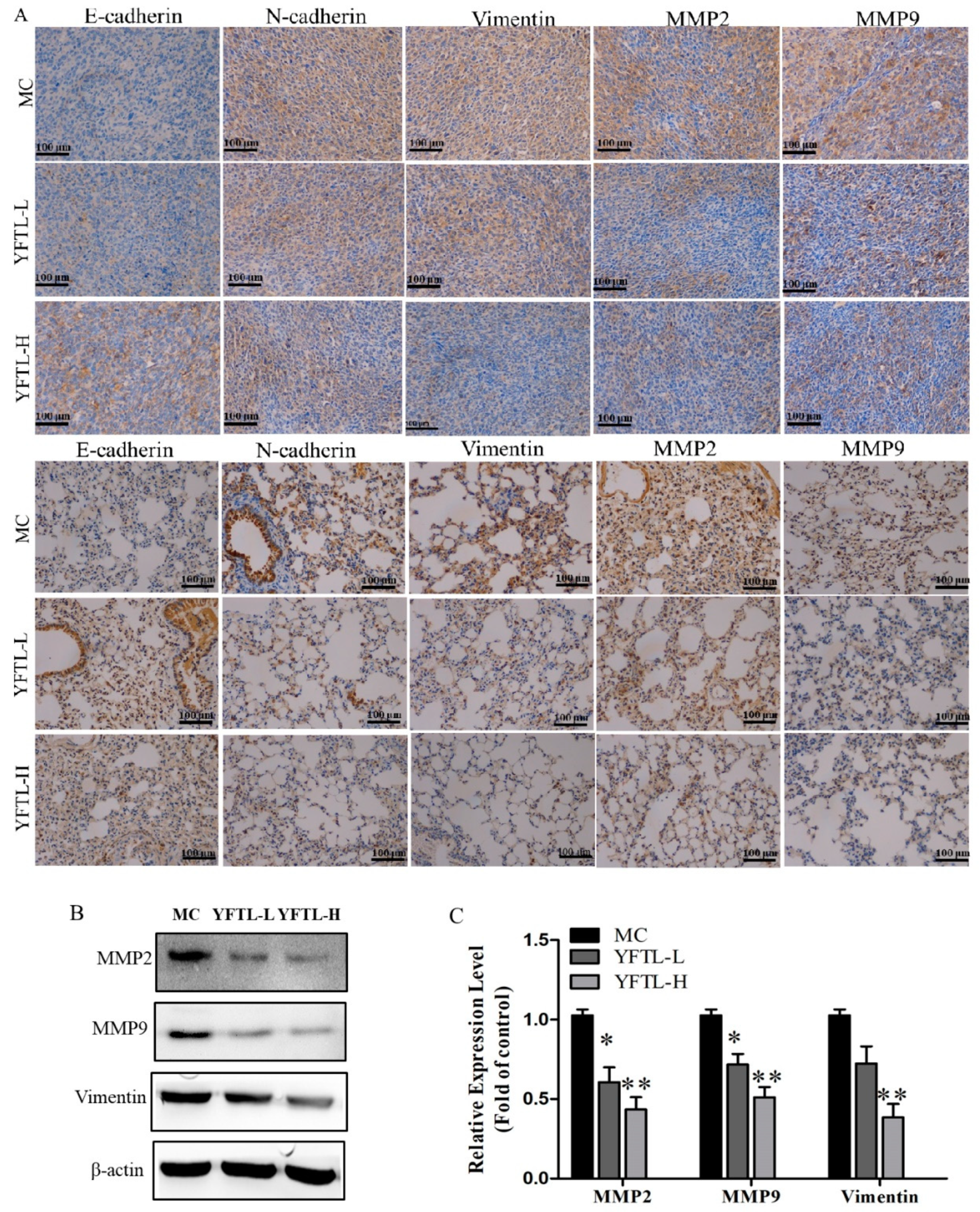 Molecules 24 00731 g004
