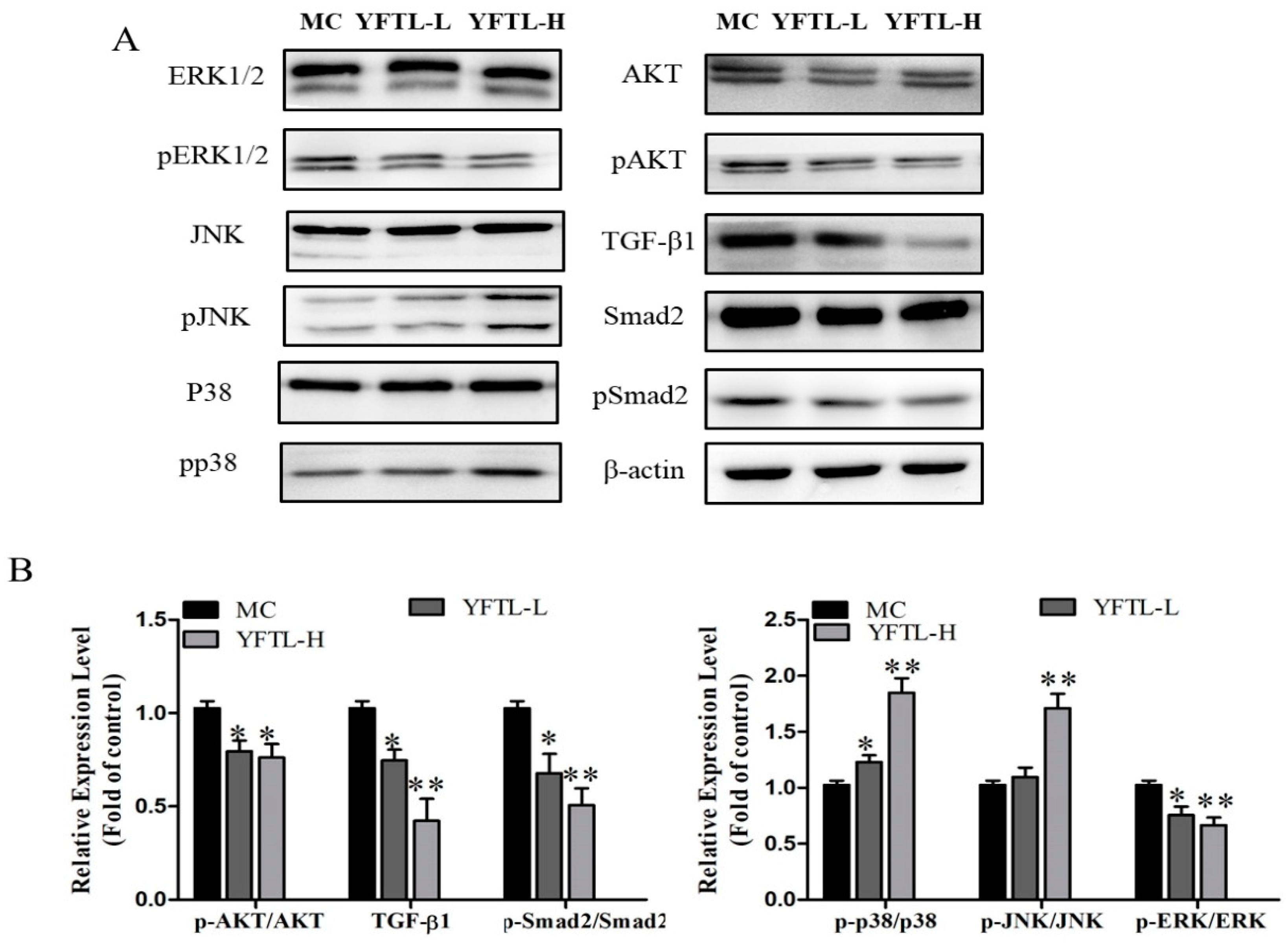 Molecules 24 00731 g007