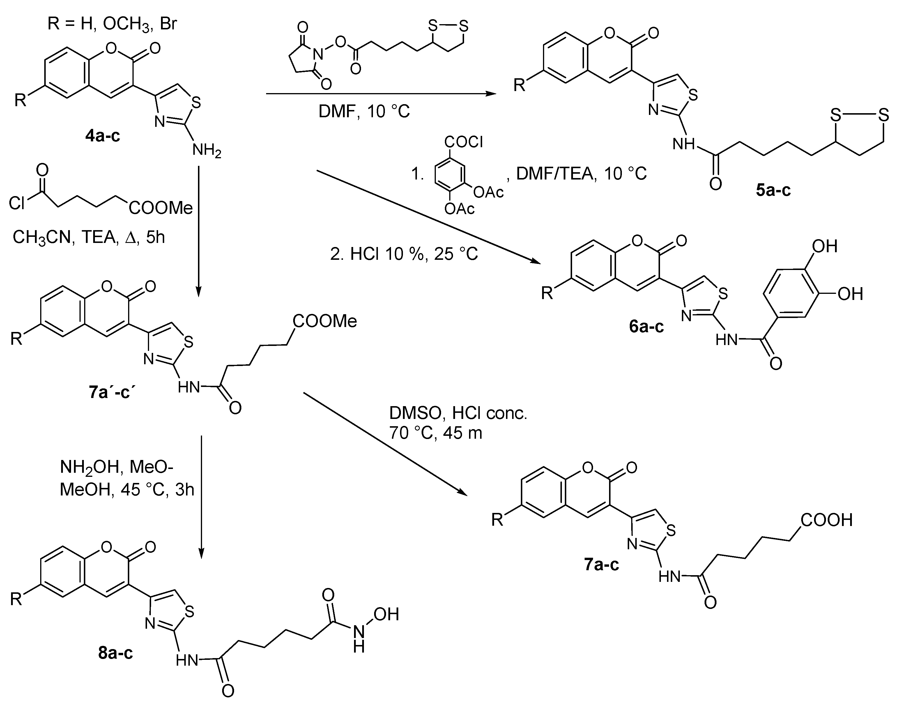 Molecules 24 00739 sch002