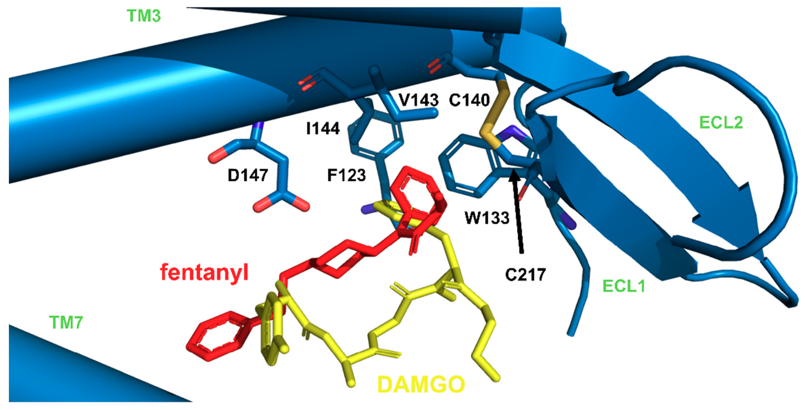 Molecules | Free Full-Text | Fentanyl Family at the Mu-Opioid 