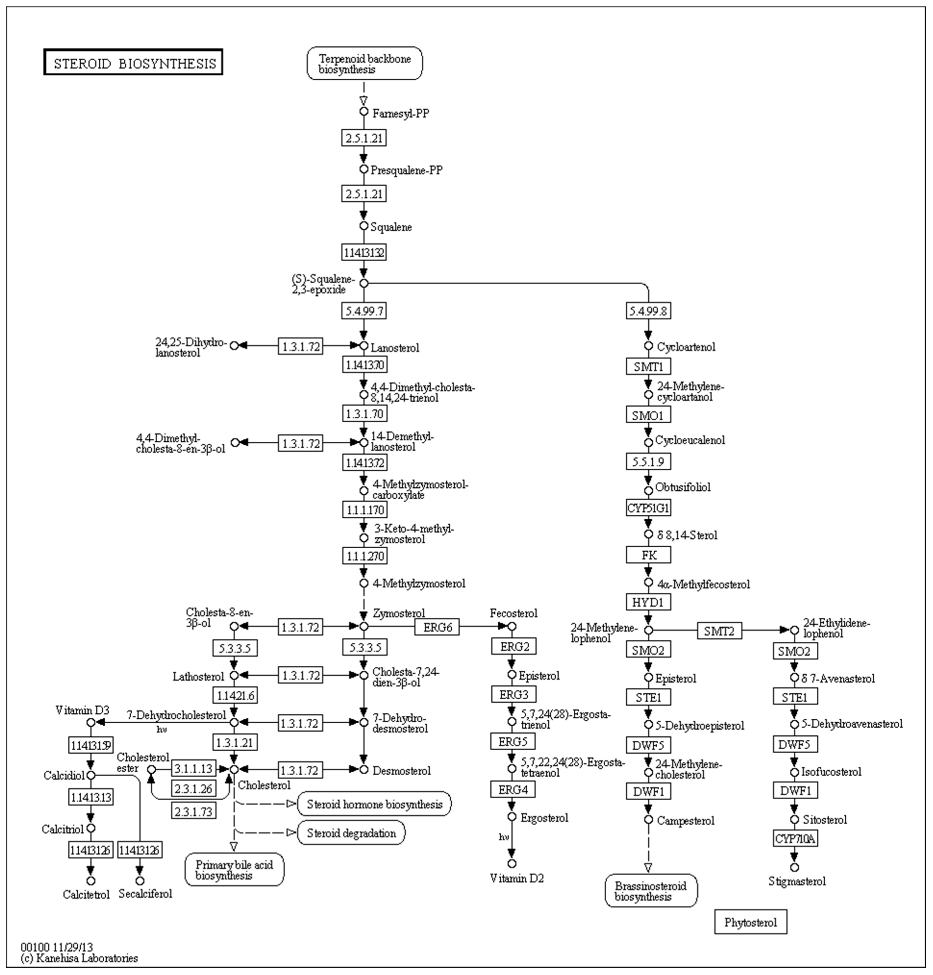 Molecules 24 00742 g010