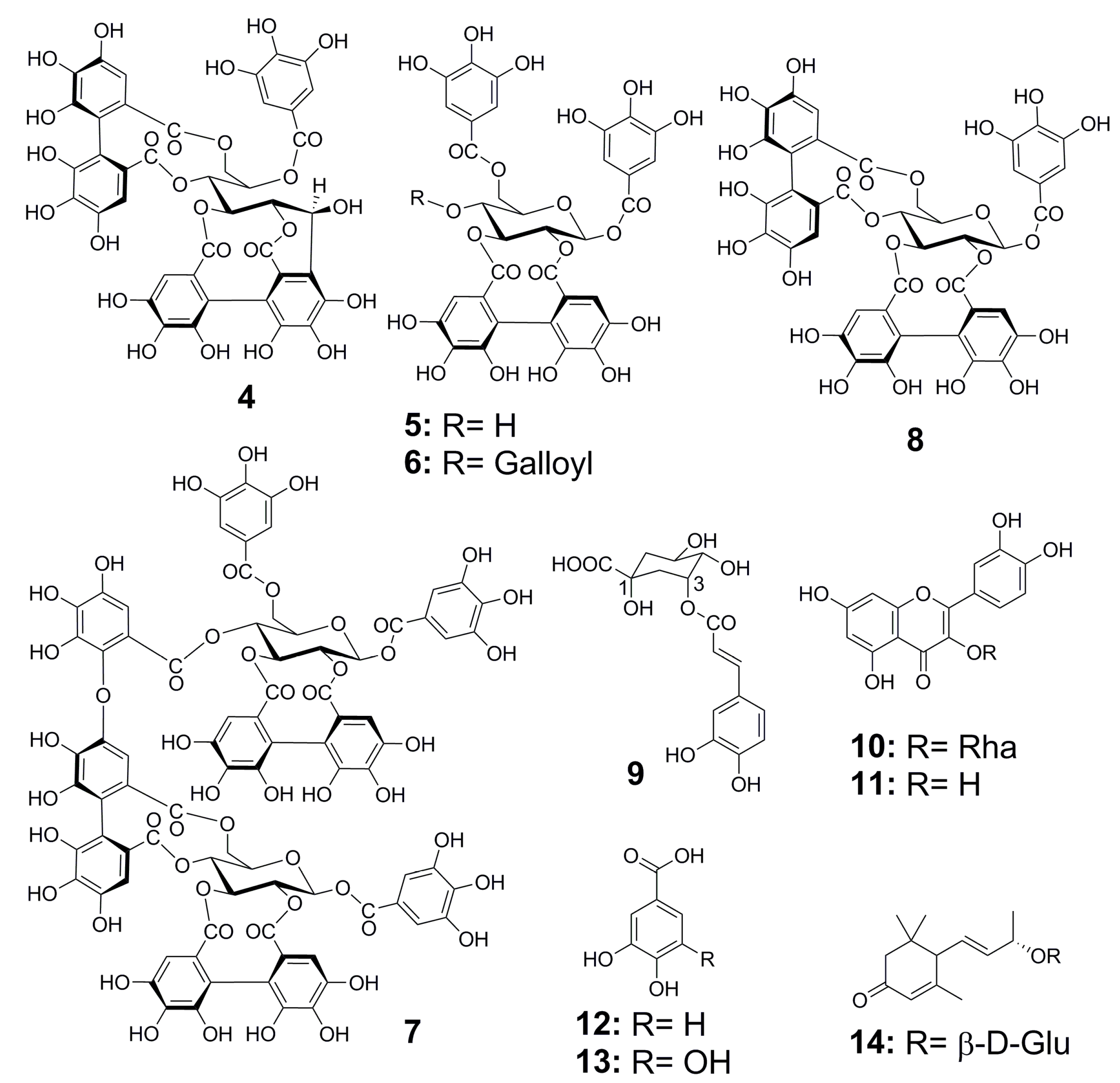 Molecules 24 00746 g005