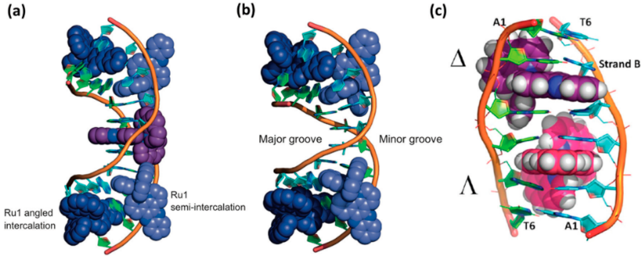 Molecules 24 00769 g005 Molecules 24 00769 g005