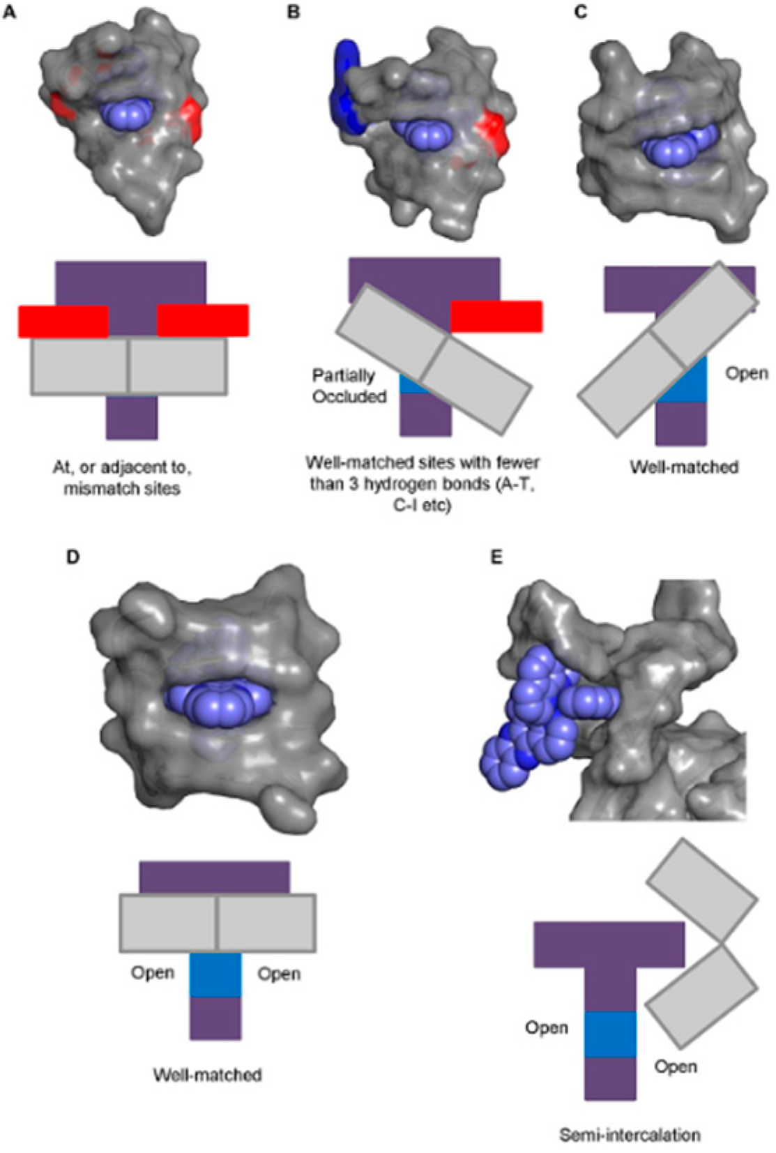 Molecules 24 00769 g006 Molecules 24 00769 g006