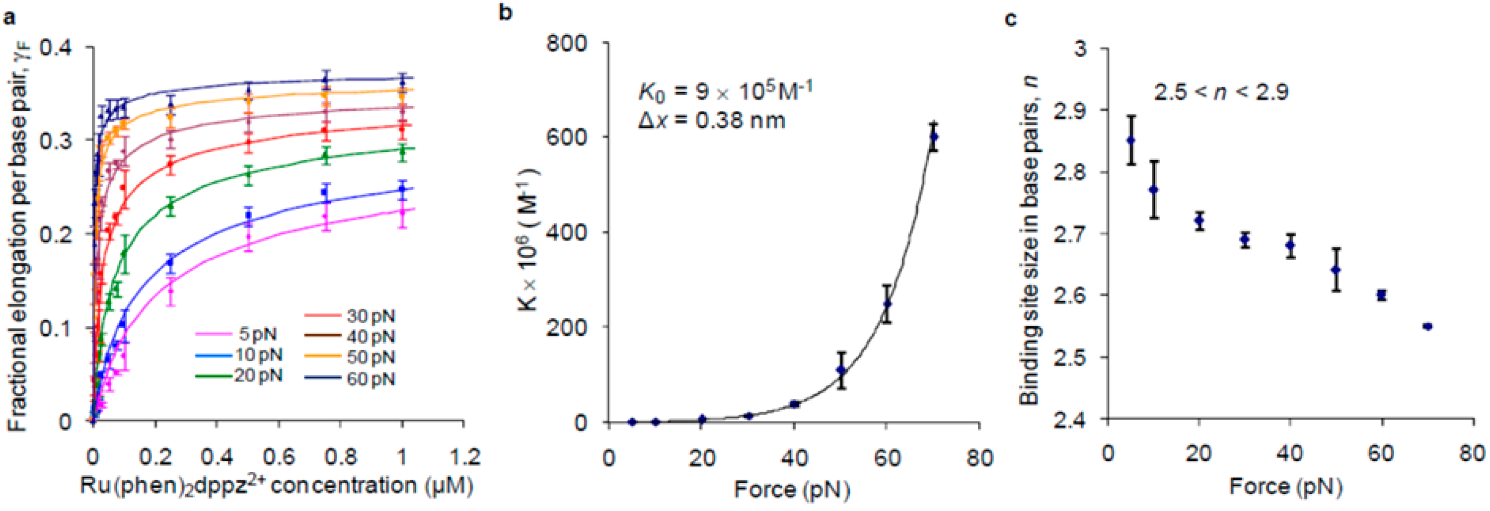 Molecules 24 00769 g007 Molecules 24 00769 g007