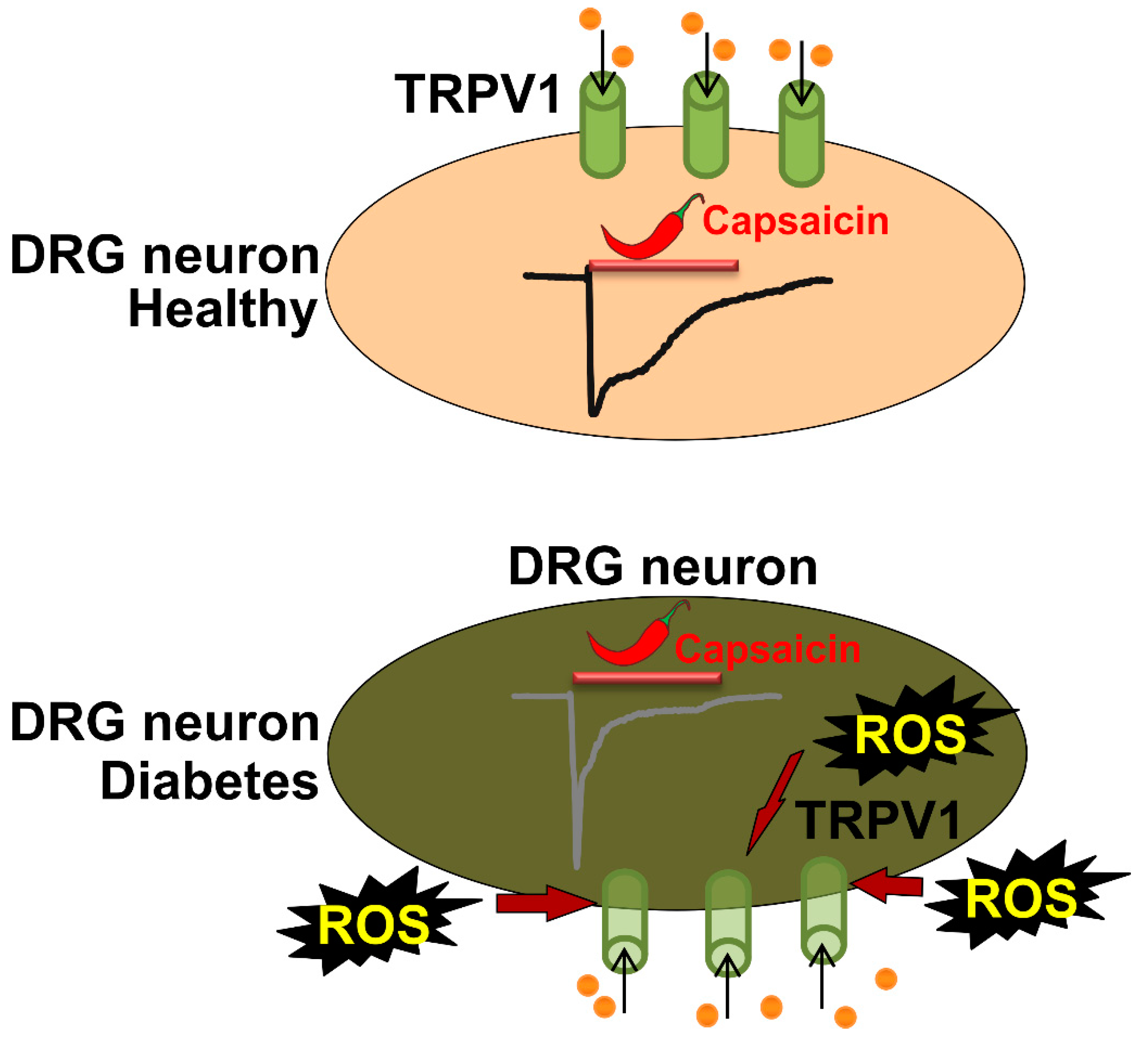 Molecules 24 00775 g004 Molecules 24 00775 g004