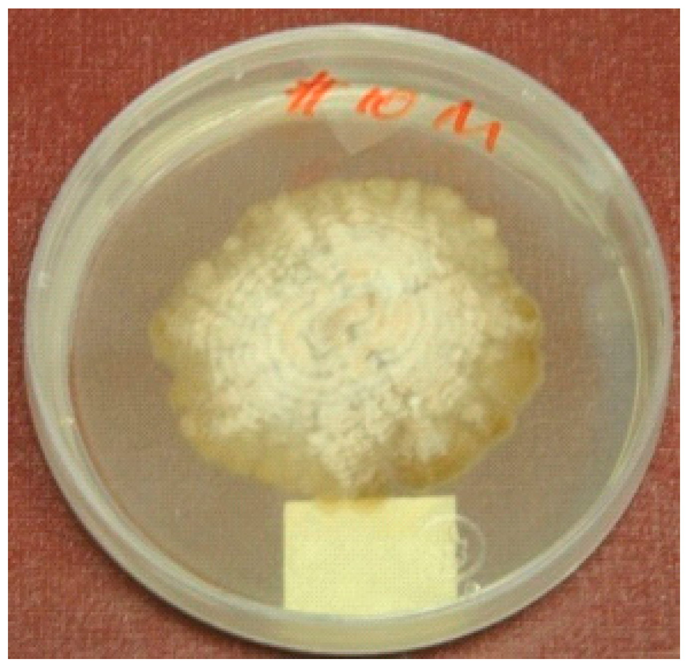 Molecules 24 00777 g002 Molecules 24 00777 g002