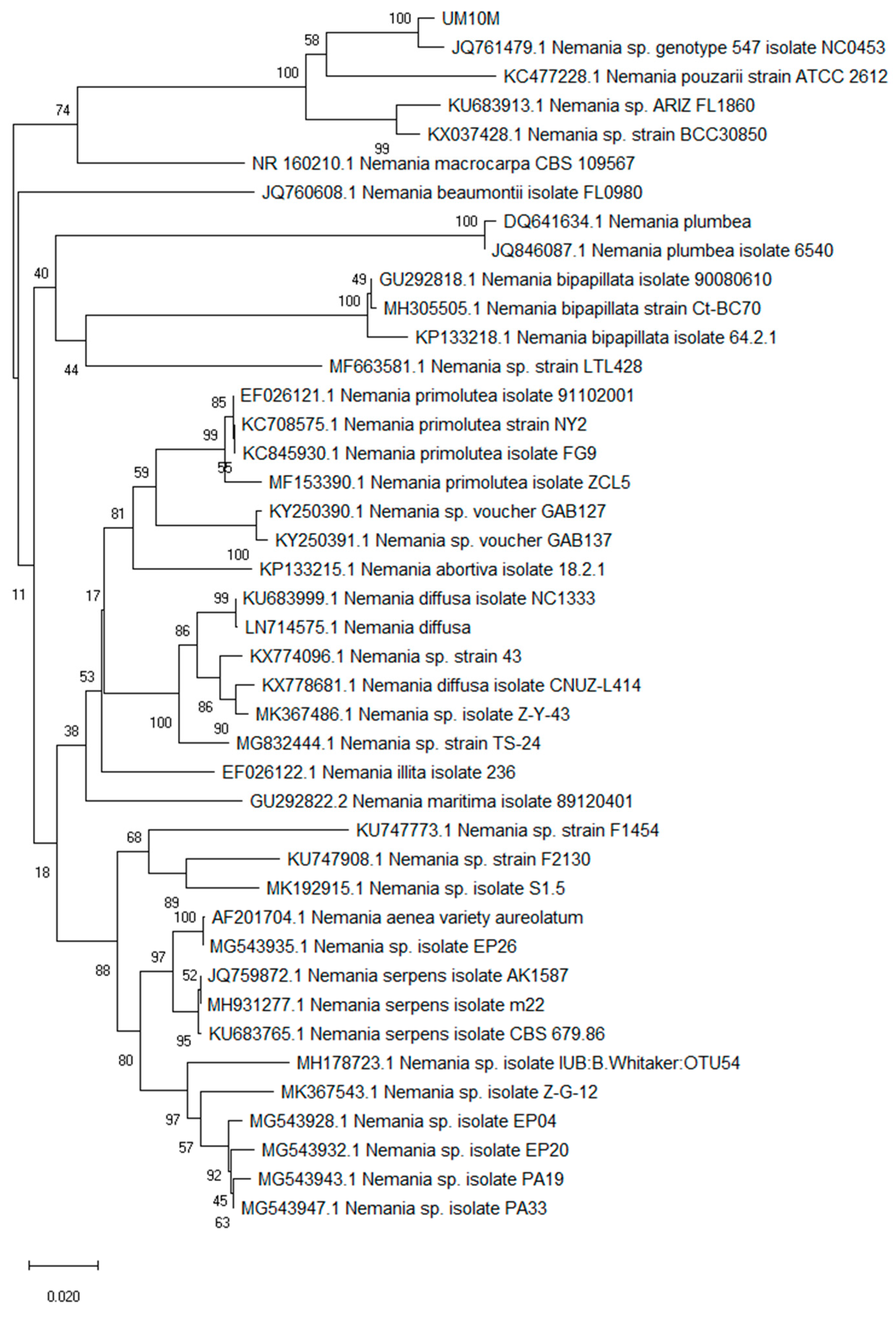 Molecules 24 00777 g004 Molecules 24 00777 g004