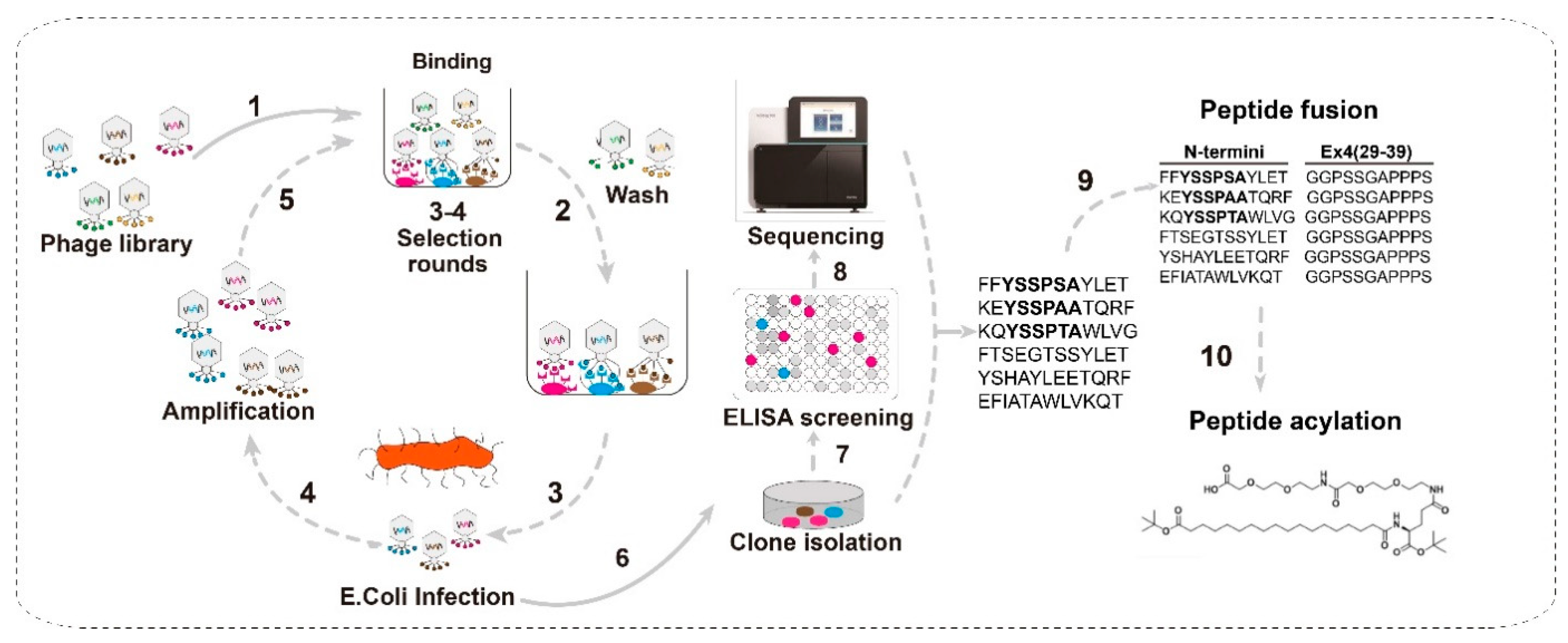 Molecules 24 00779 g001