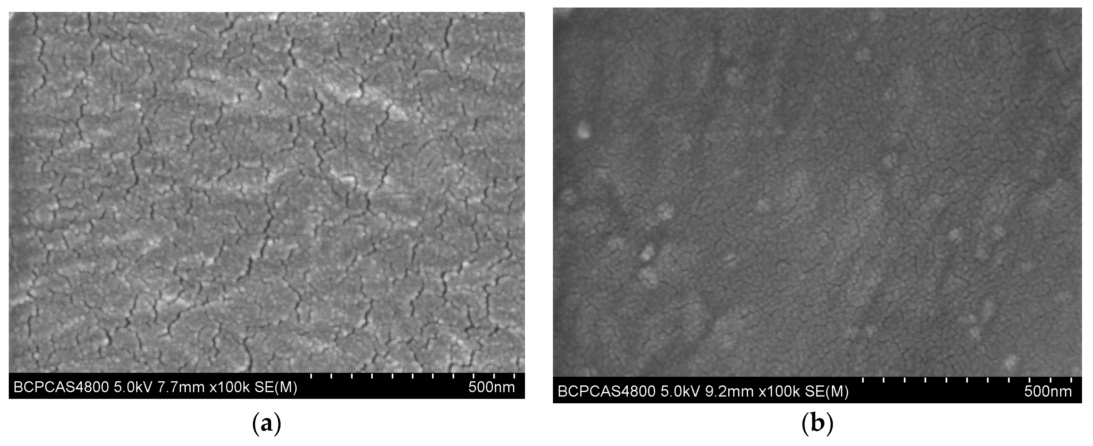 Molecules 24 00780 g002