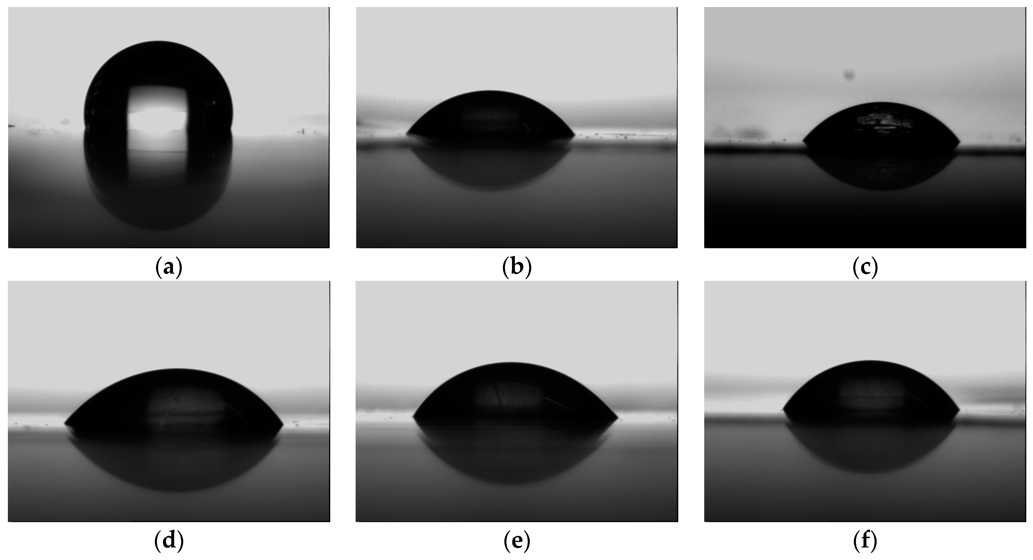 Molecules 24 00780 g004