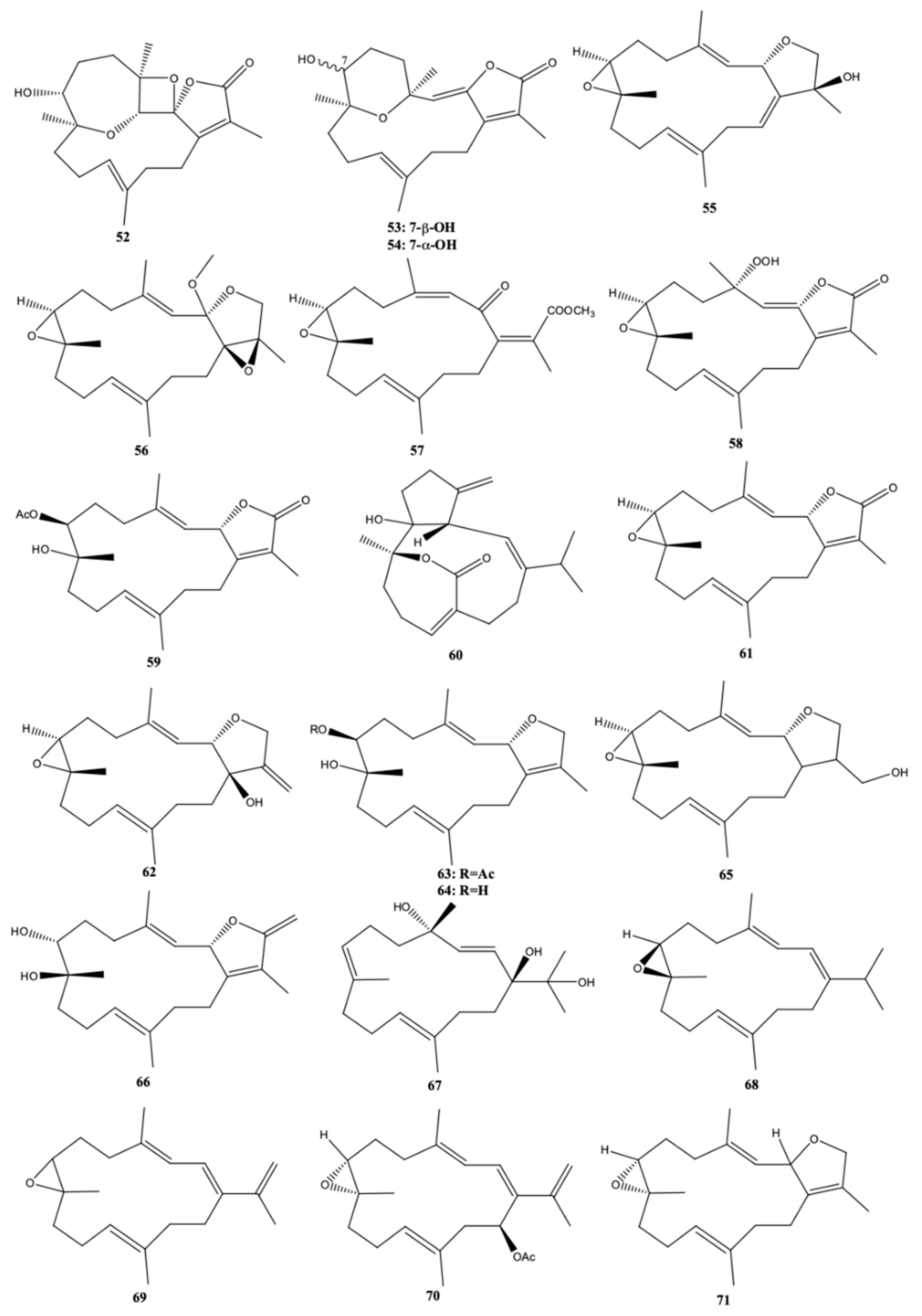 Molecules 24 00781 g007