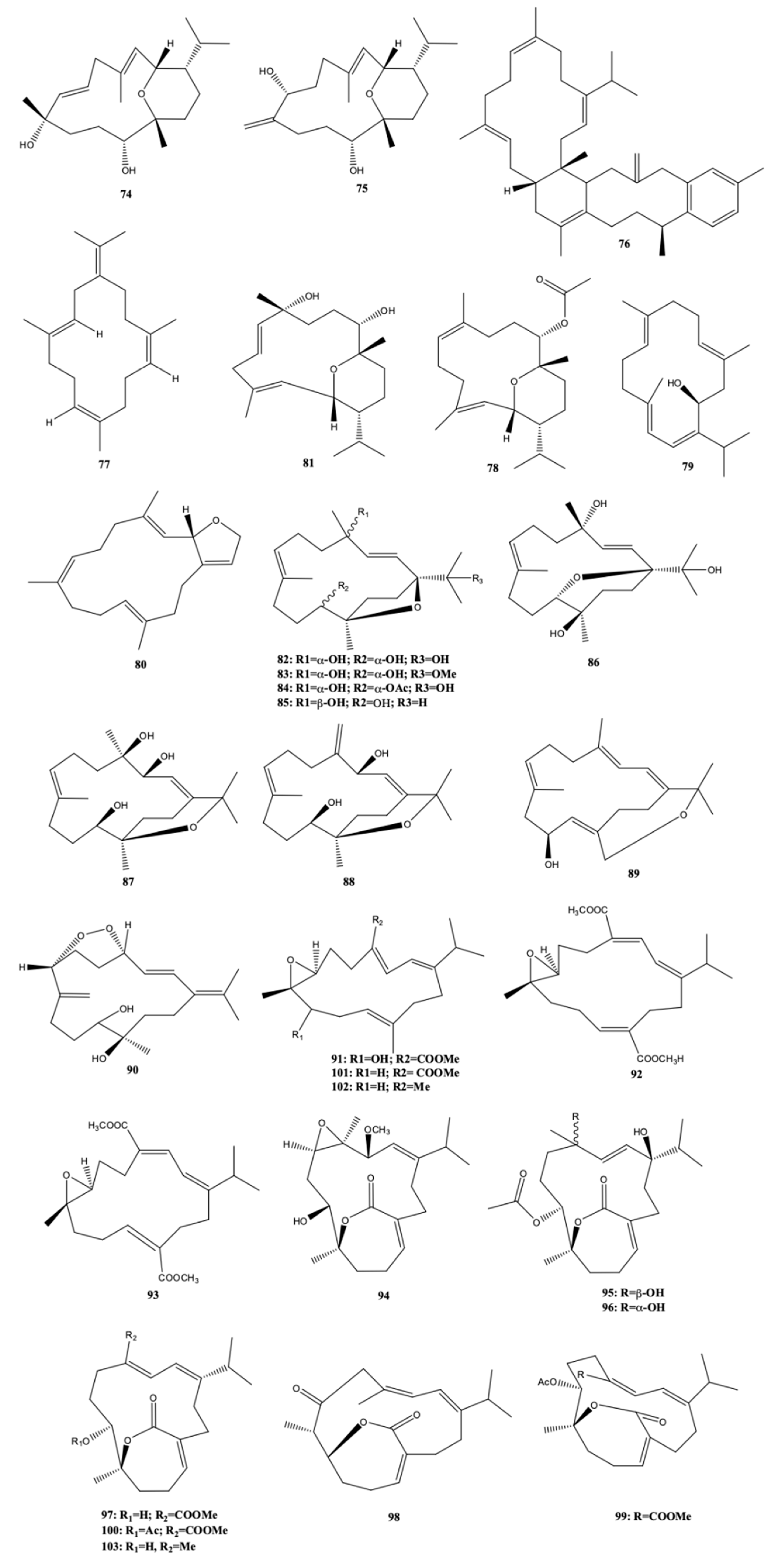 Molecules 24 00781 g009