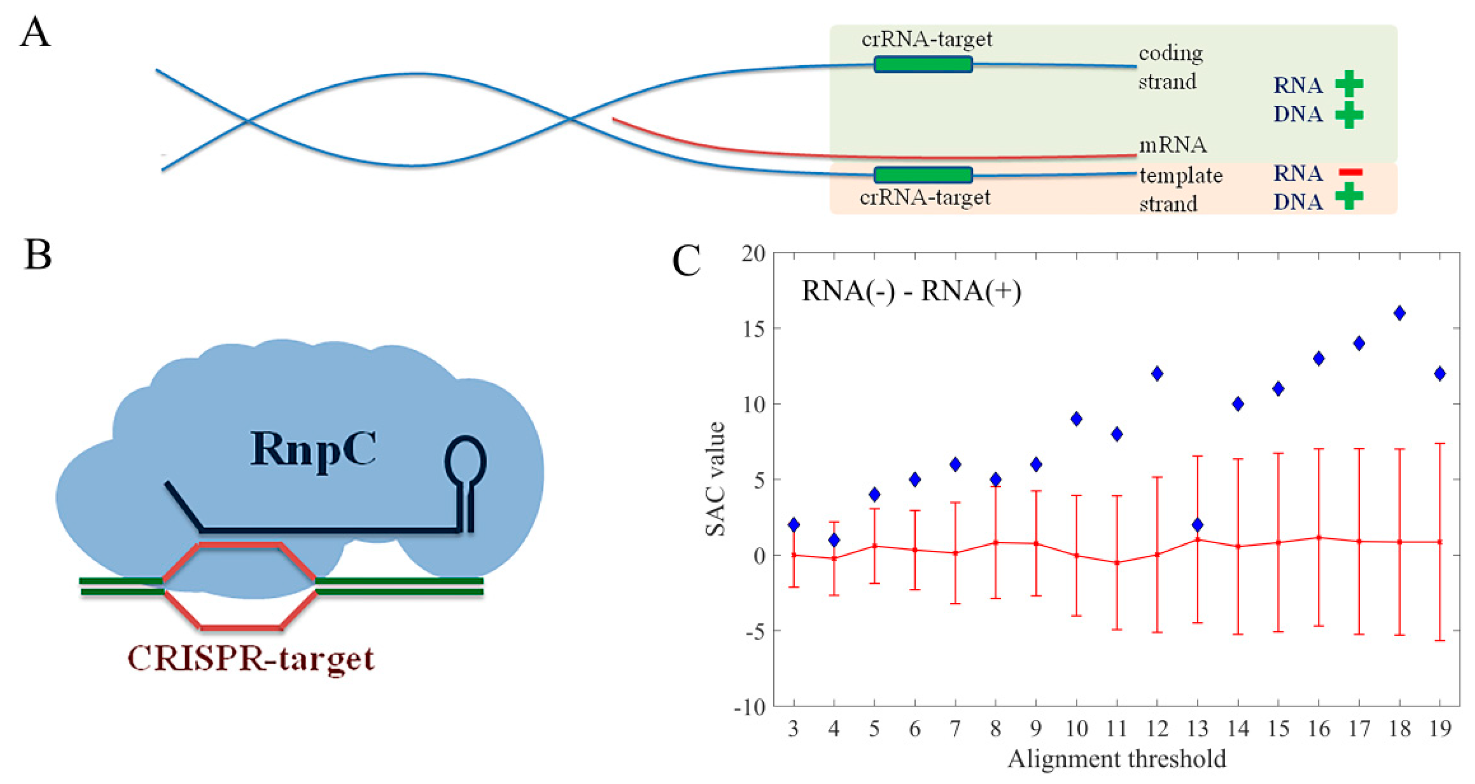 Molecules 24 00784 g005 550