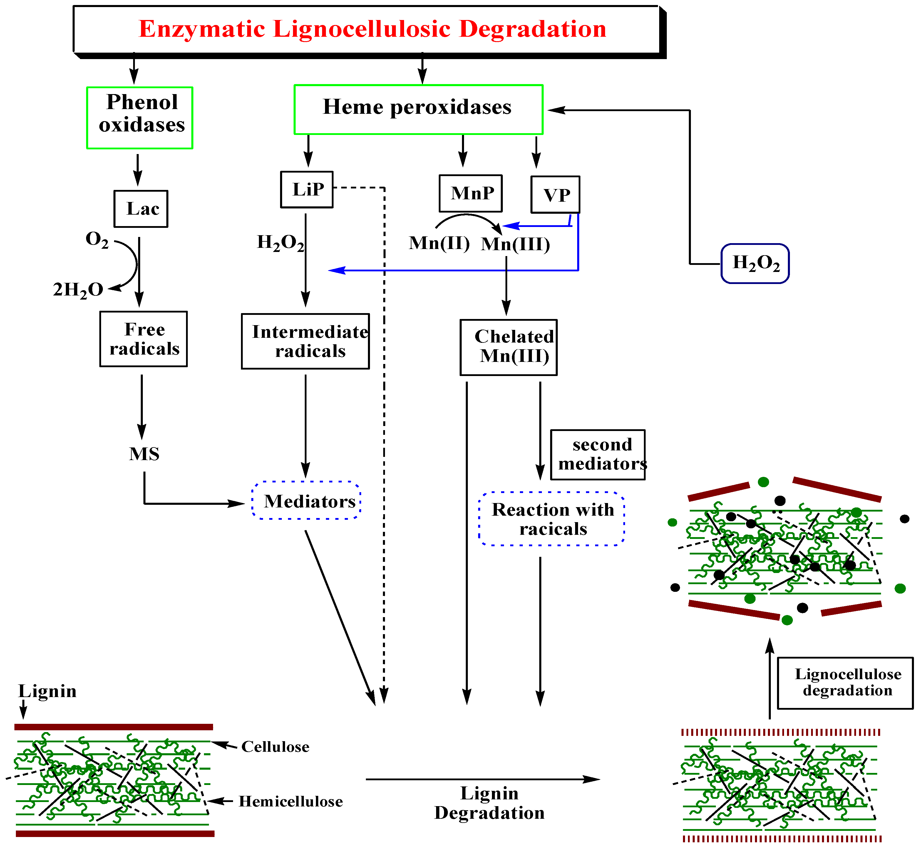 Molecules 24 00786 g003 Molecules 24 00786 g003