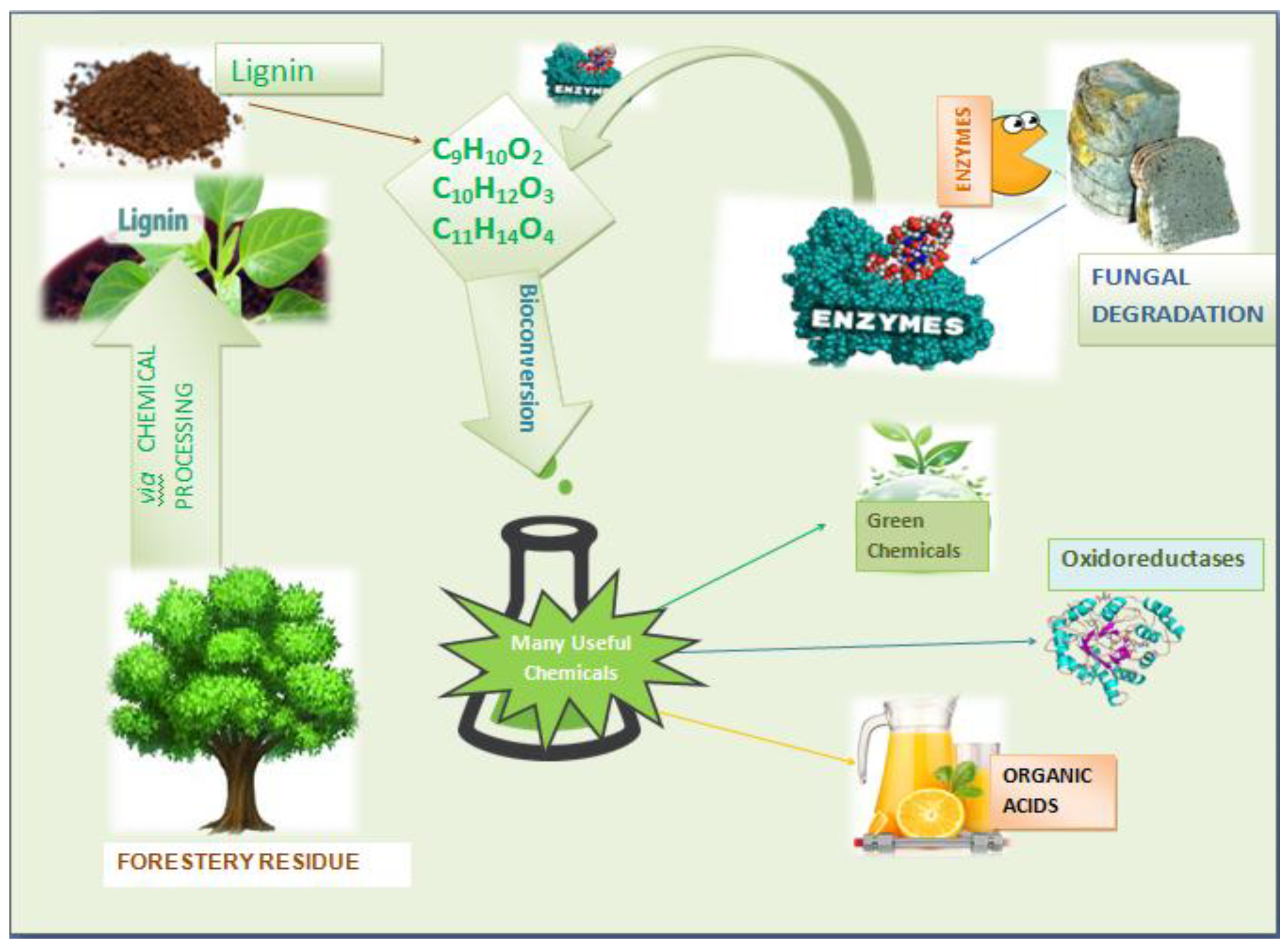 Molecules 24 00786 g010 Molecules 24 00786 g010