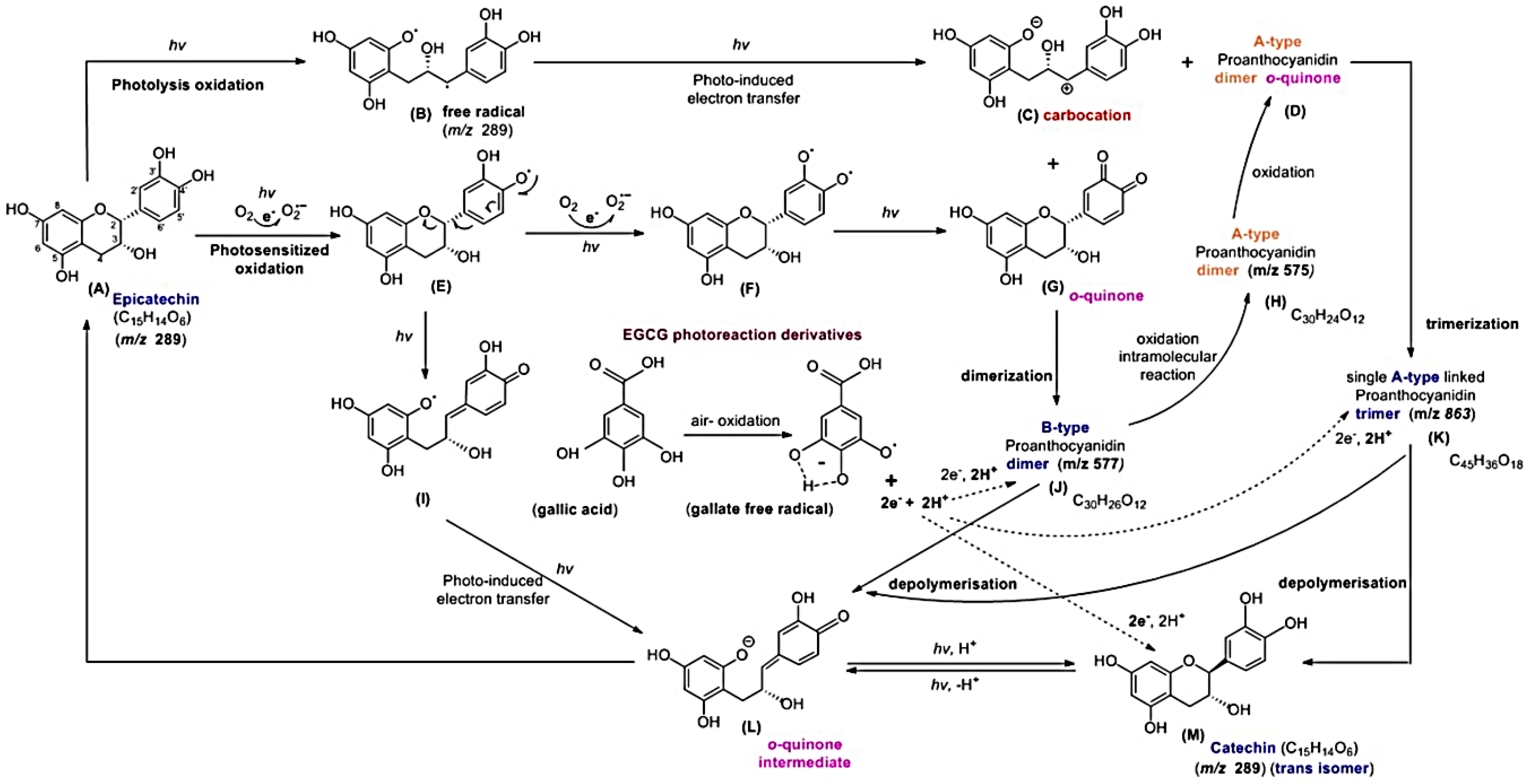 Molecules 24 00787 g009