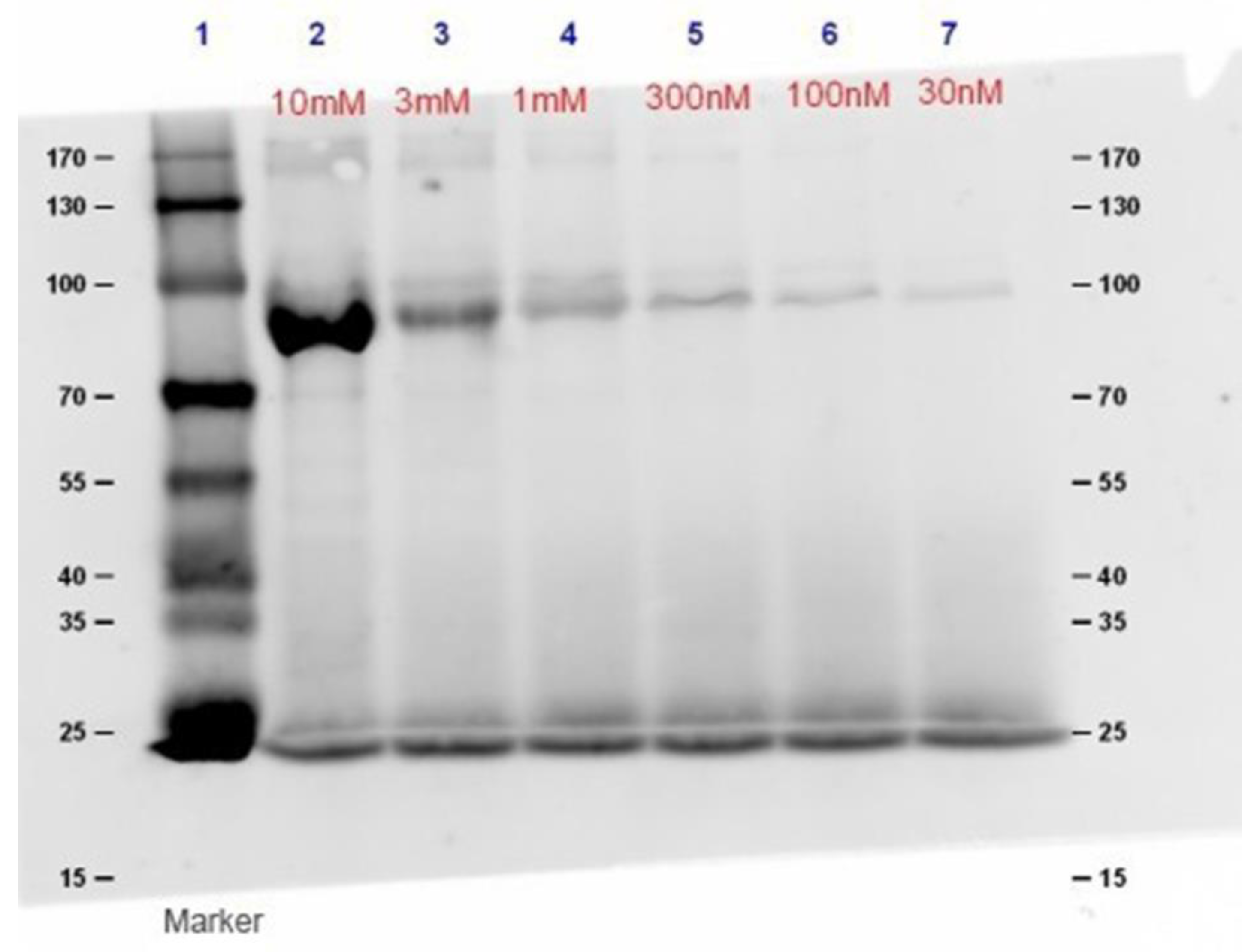 Molecules 24 00798 g003
