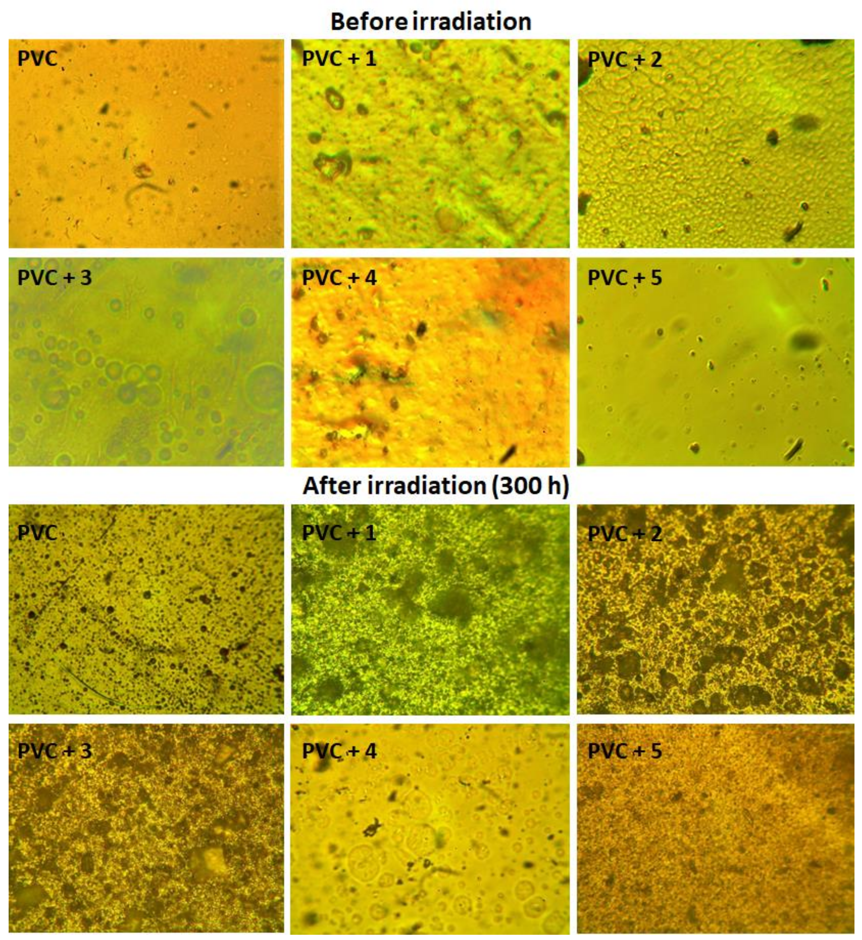 Molecules 24 00803 g010 550