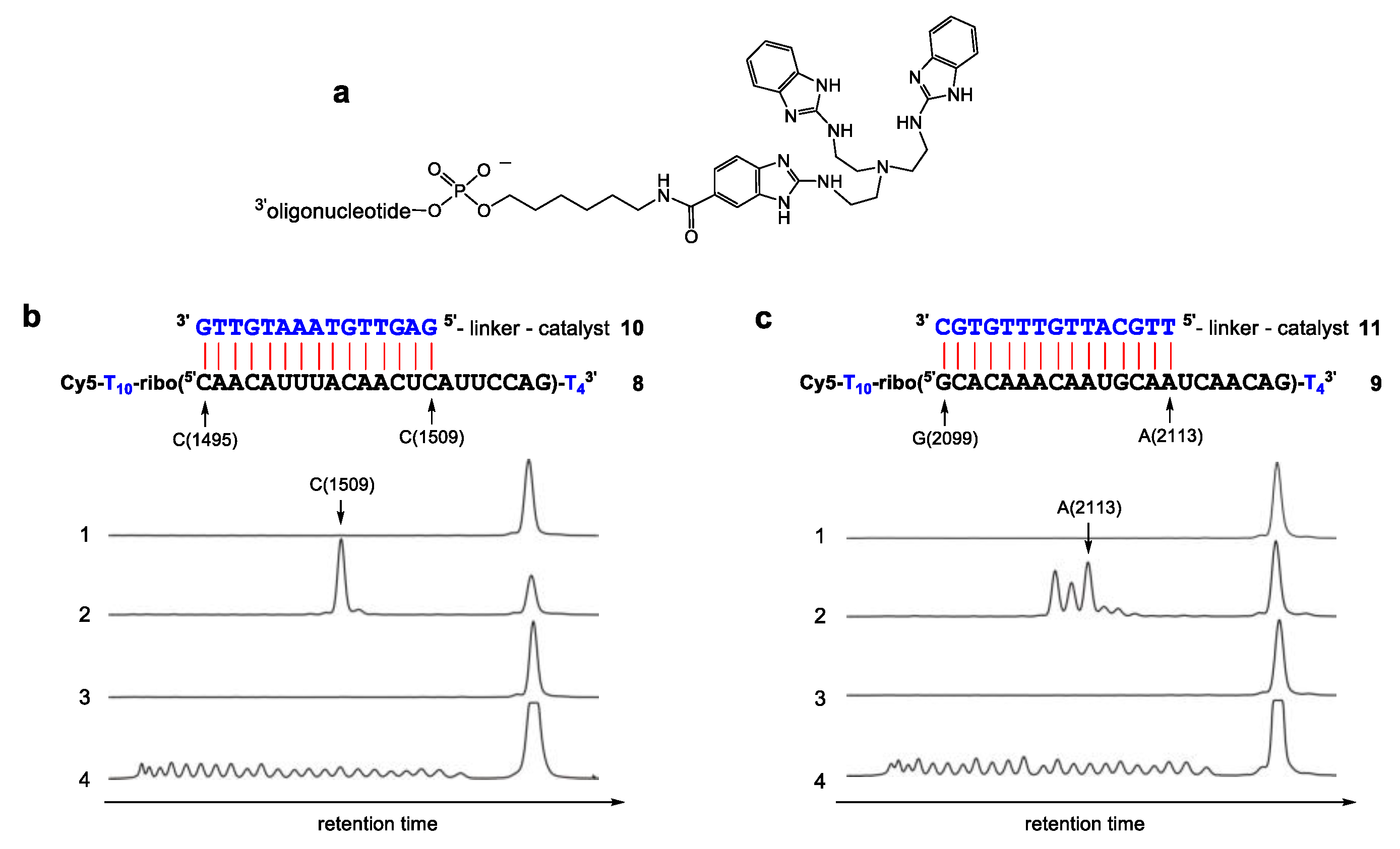 Molecules 24 00807 g001 Molecules 24 00807 g001