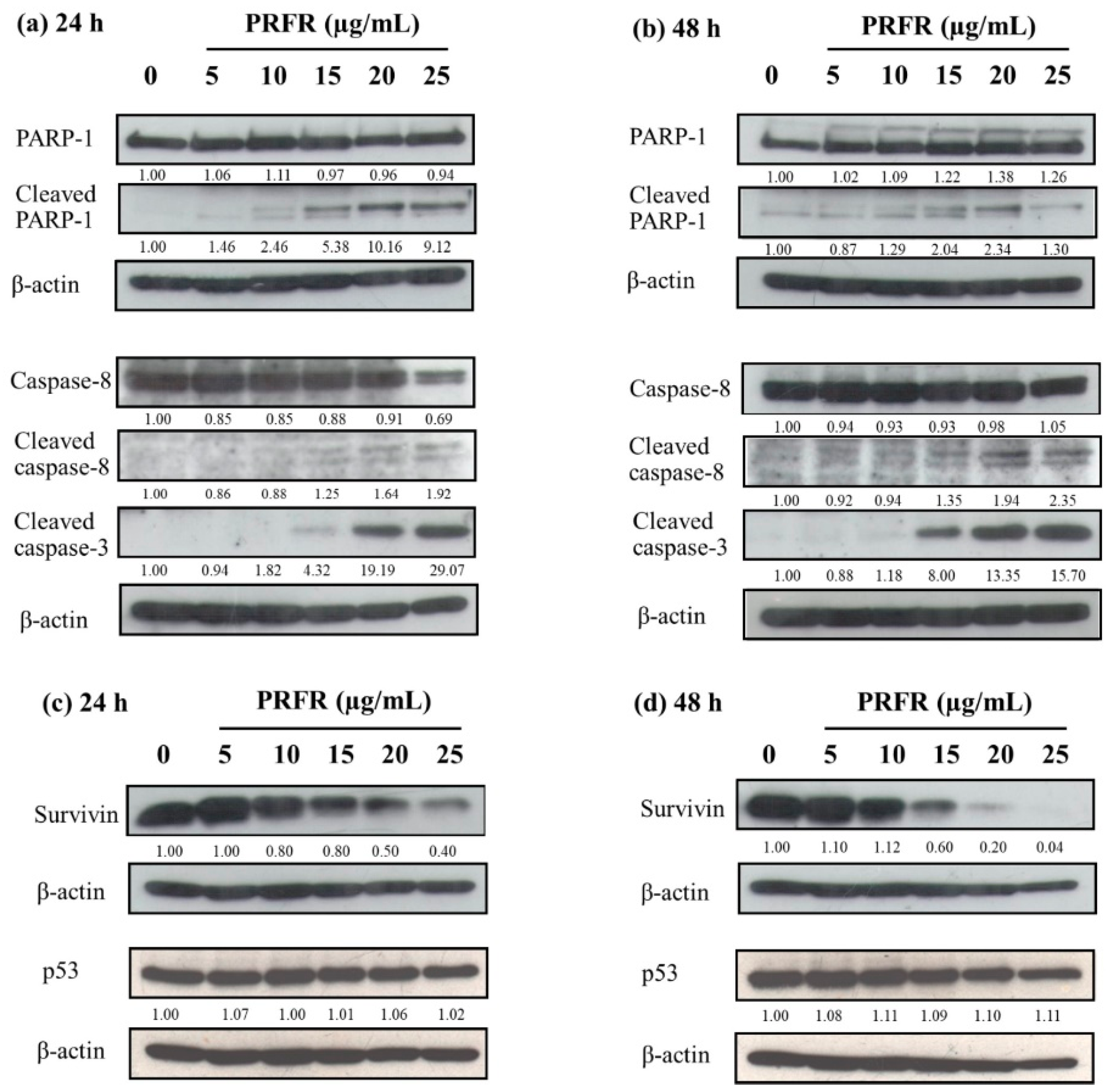 Molecules 24 00813 g005 Molecules 24 00813 g005