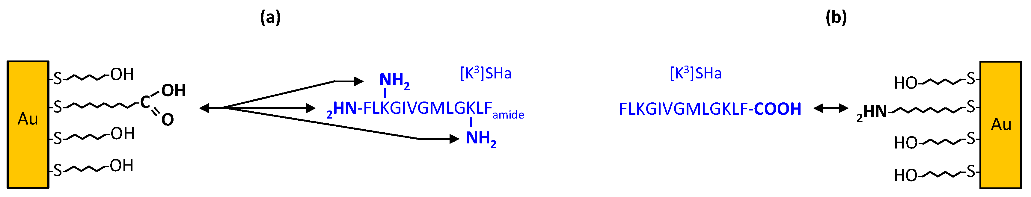 Molecules 24 00814 g001 Molecules 24 00814 g001