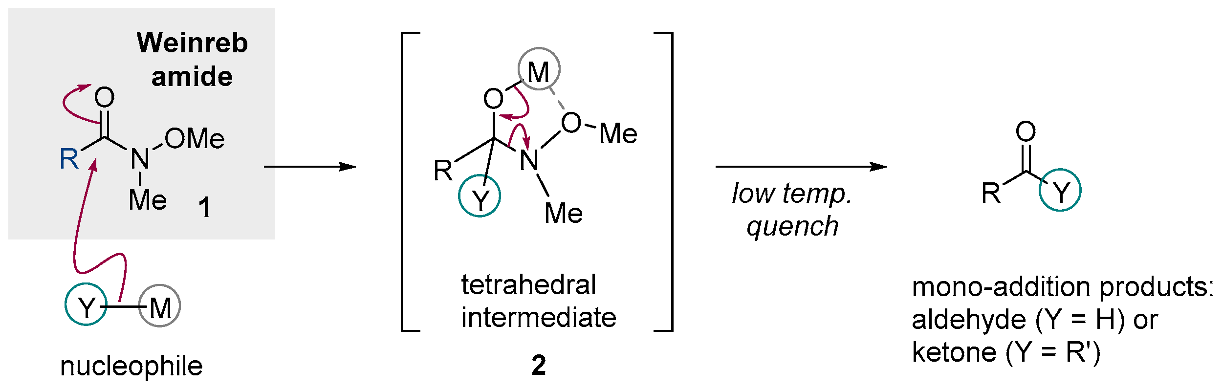 Molecules 24 00830 g001 550