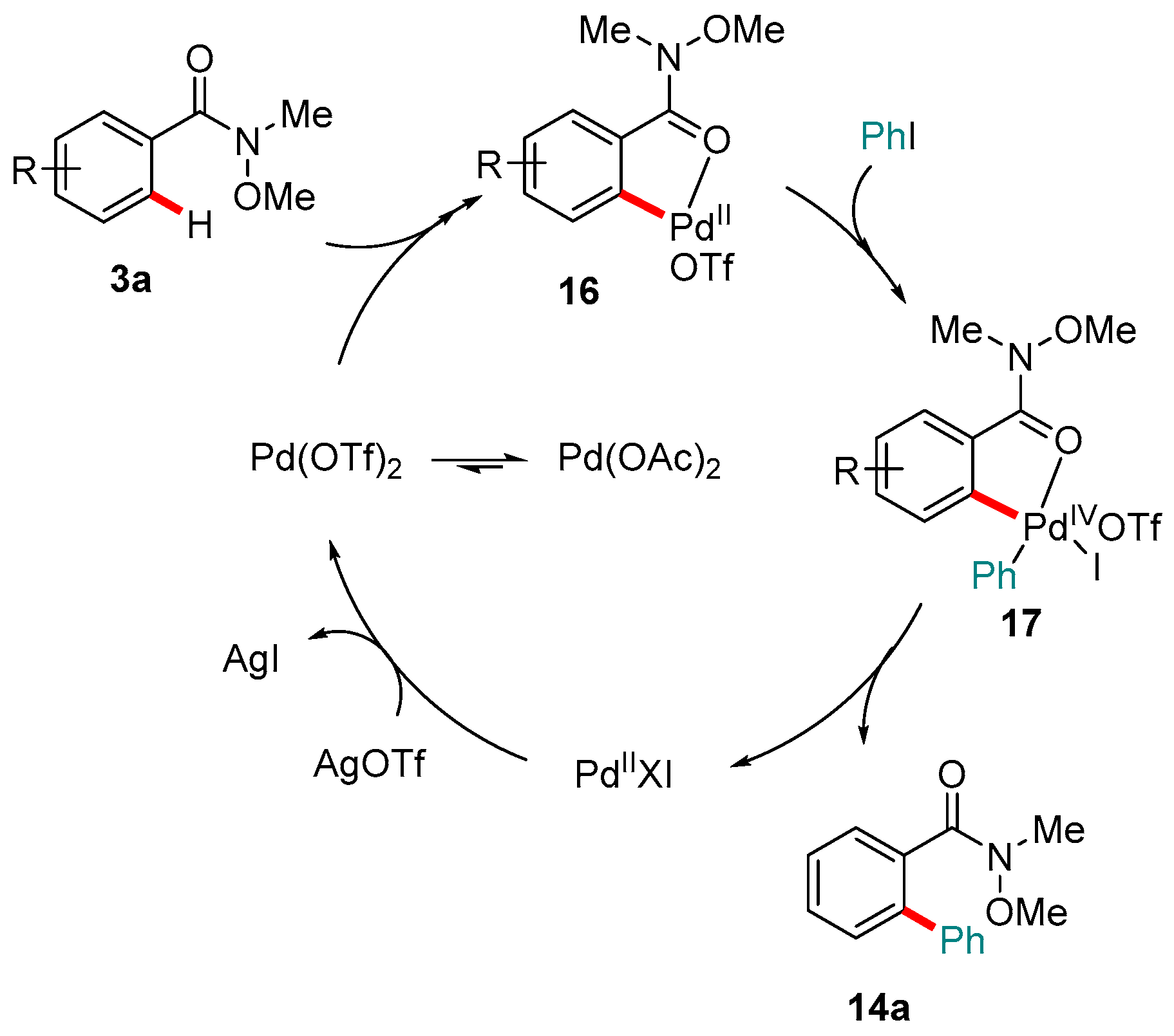 Molecules 24 00830 g004 550