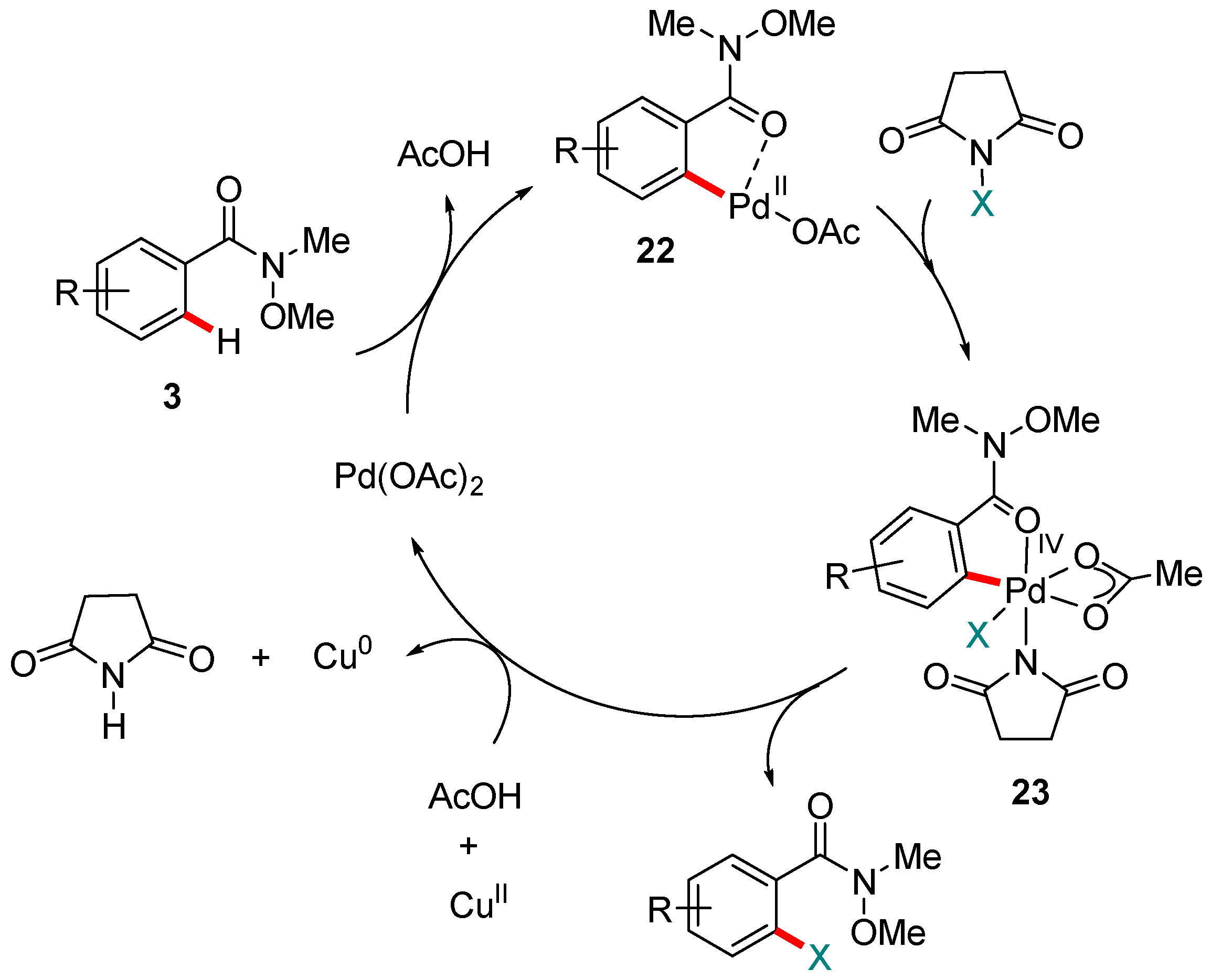 Molecules 24 00830 g005 550