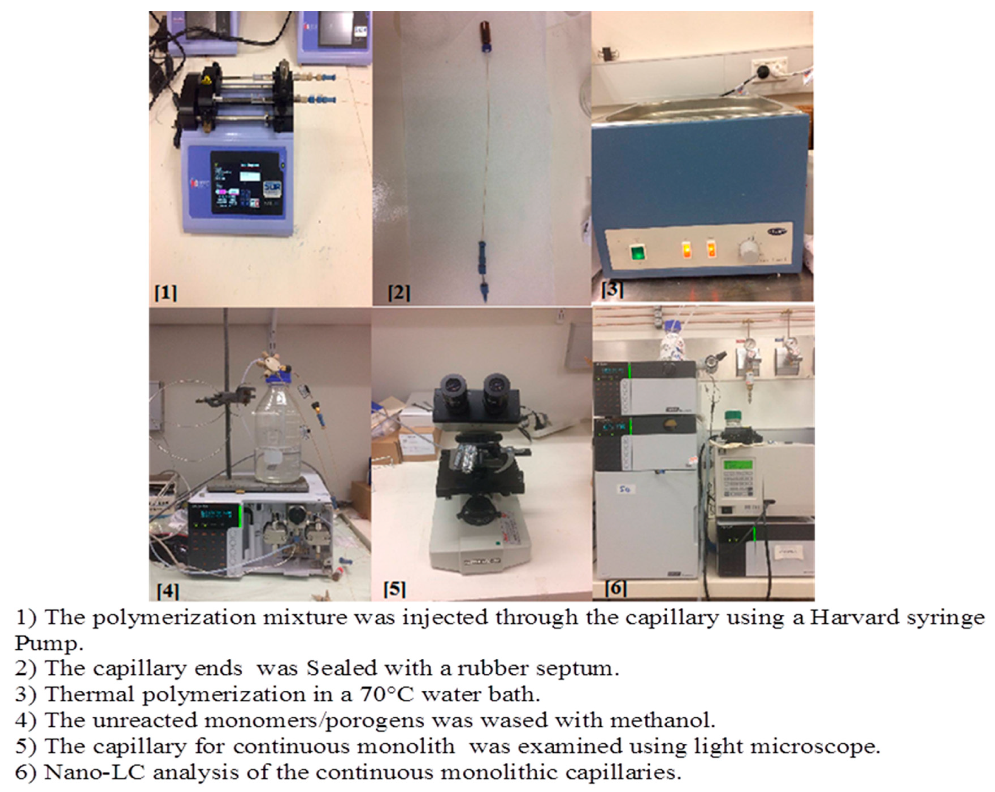 Molecules 24 00833 g006