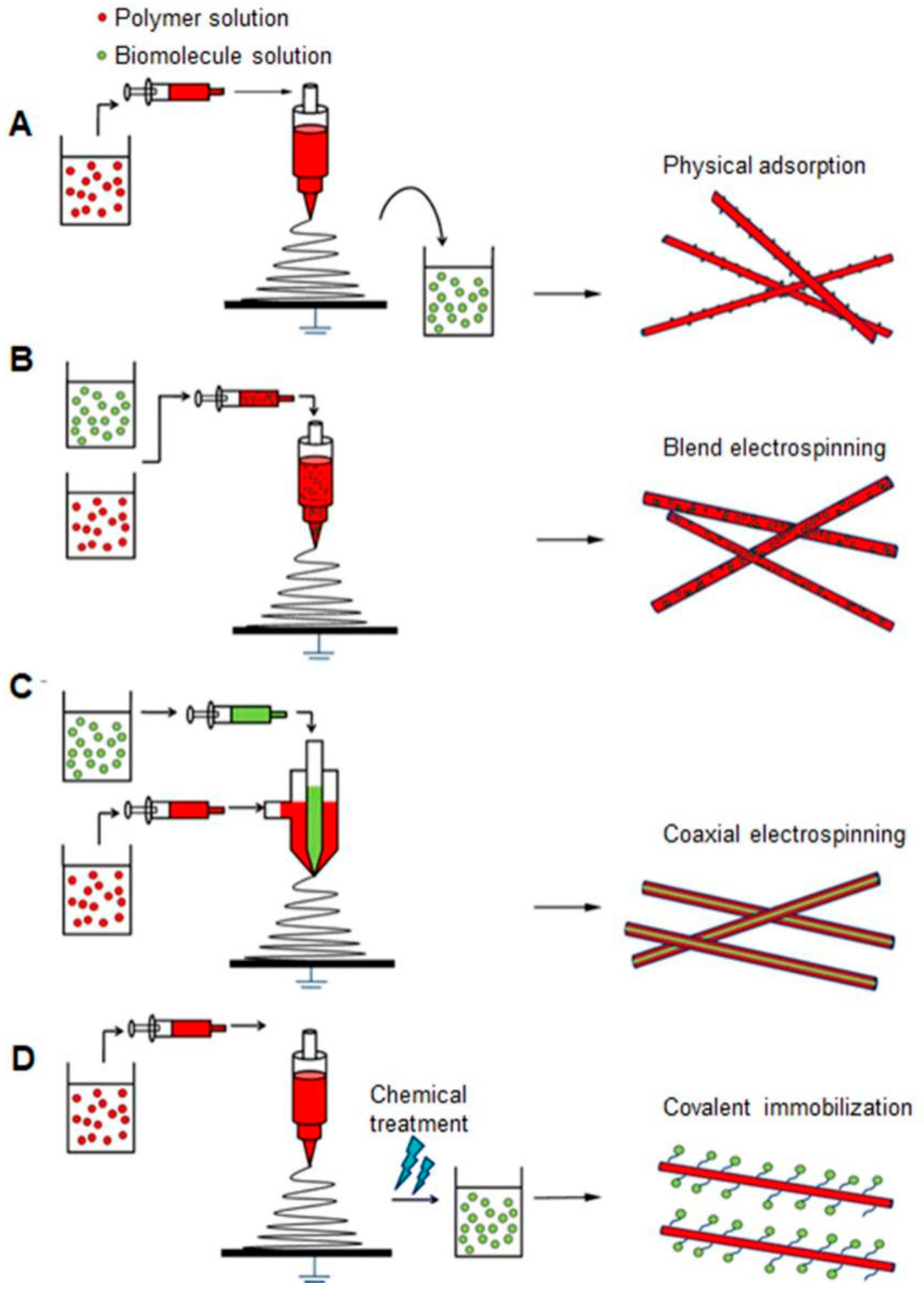 Molecules 24 00834 g003