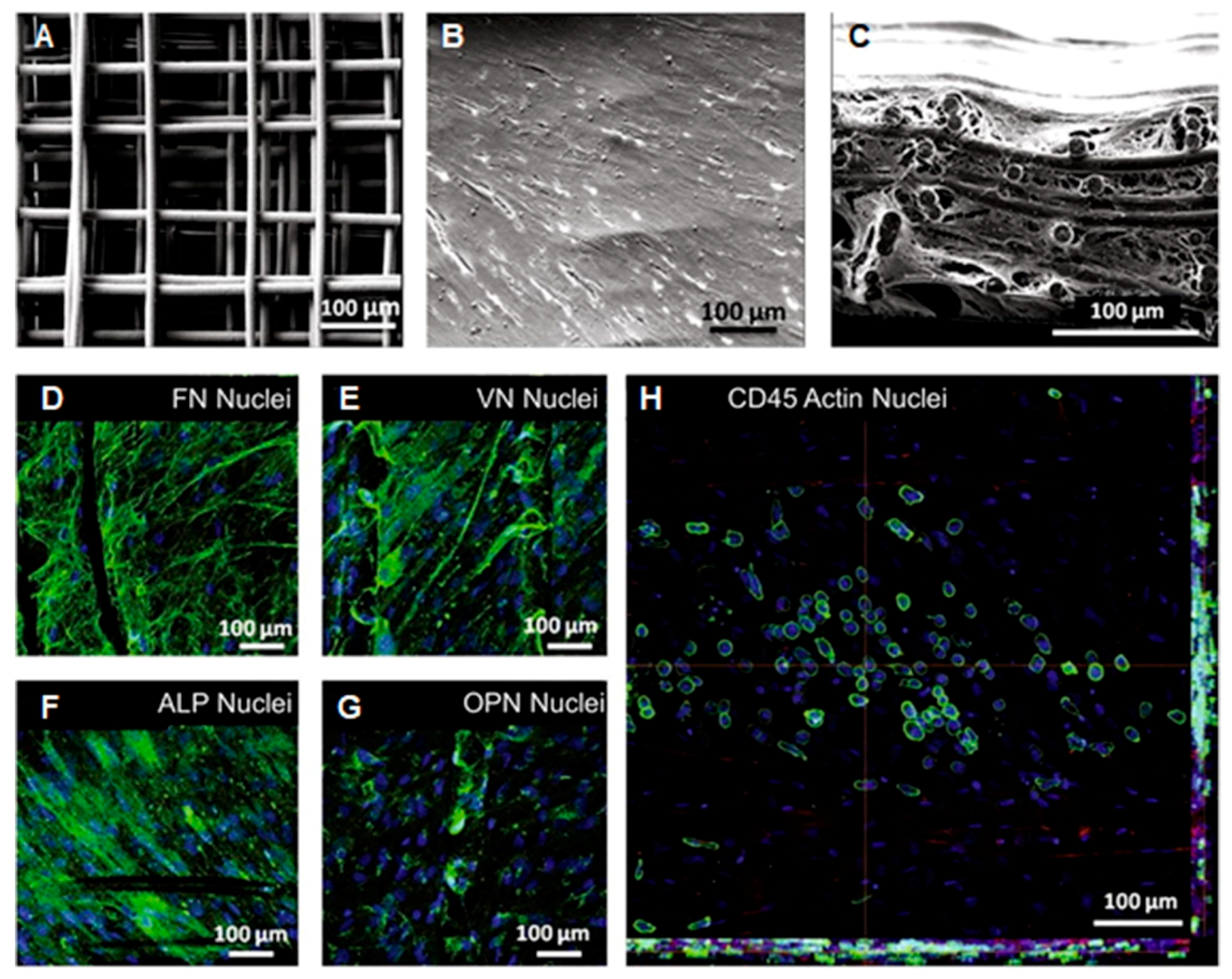 Molecules  Free Full-Text  Fabrication of Electrospun Polymer 