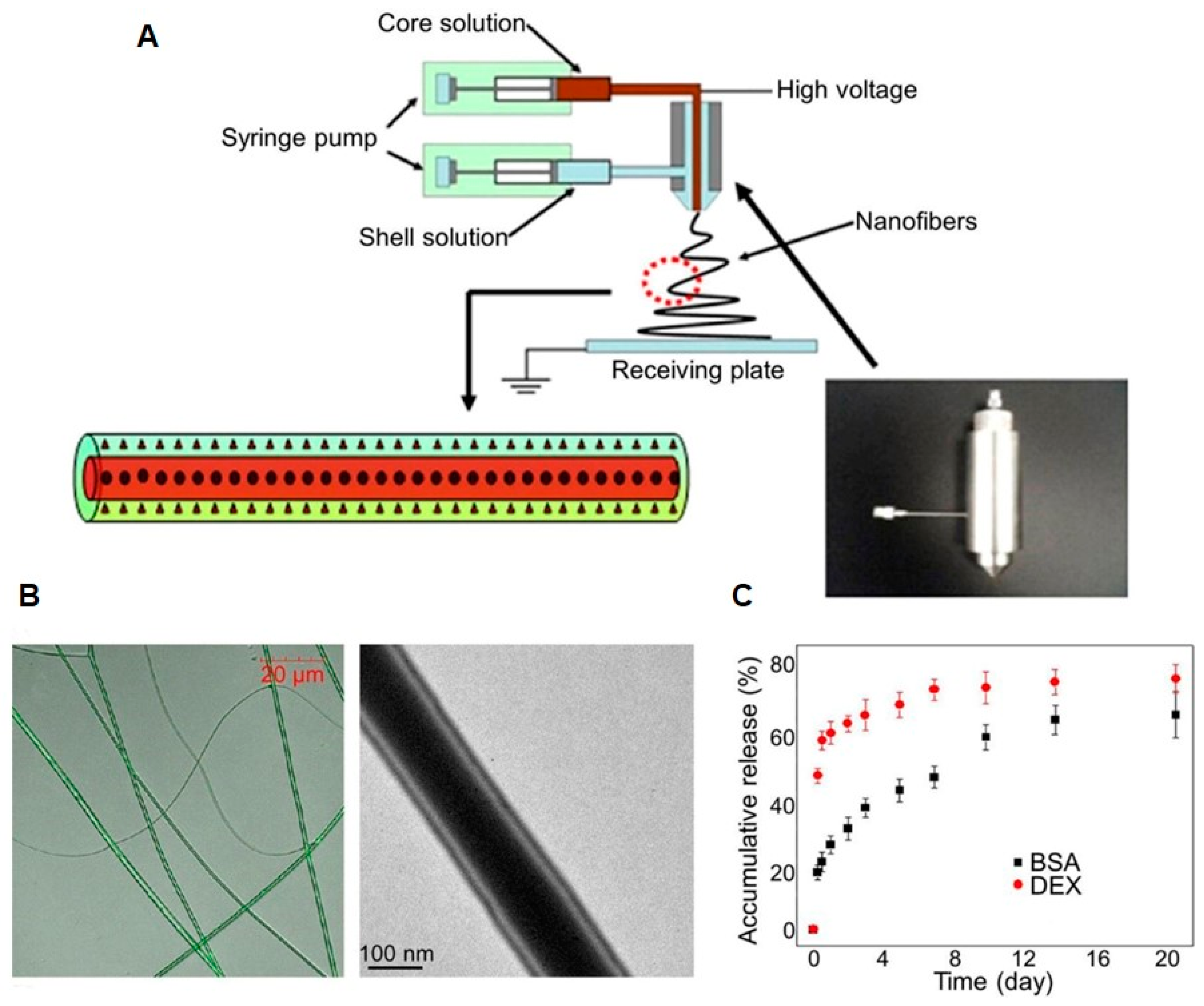Molecules 24 00834 g006