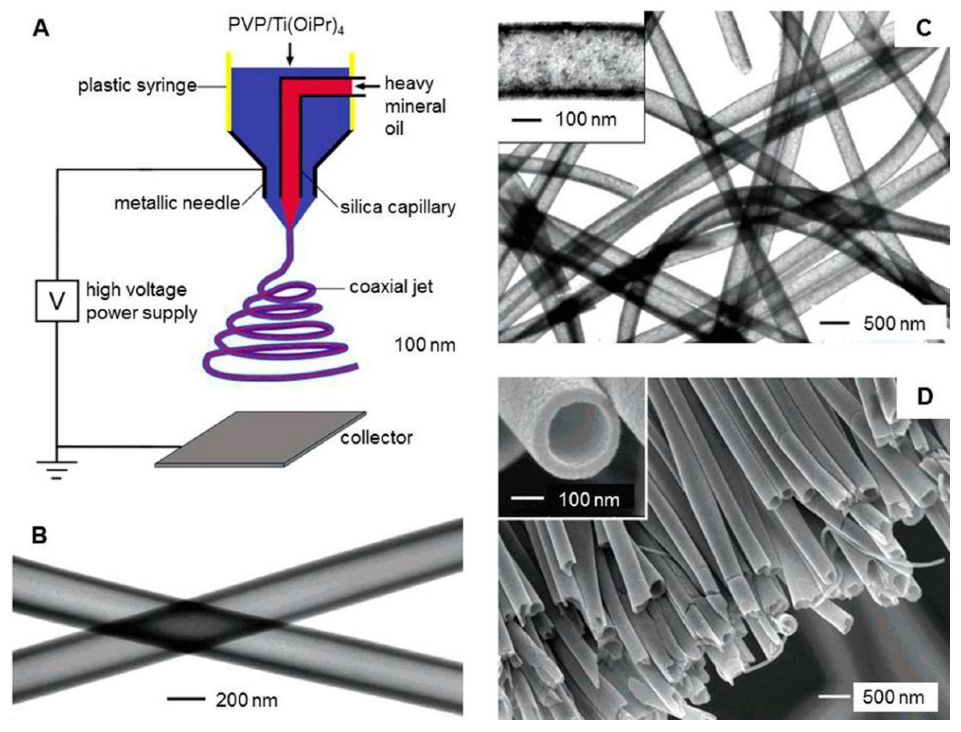 Molecules 24 00834 g007