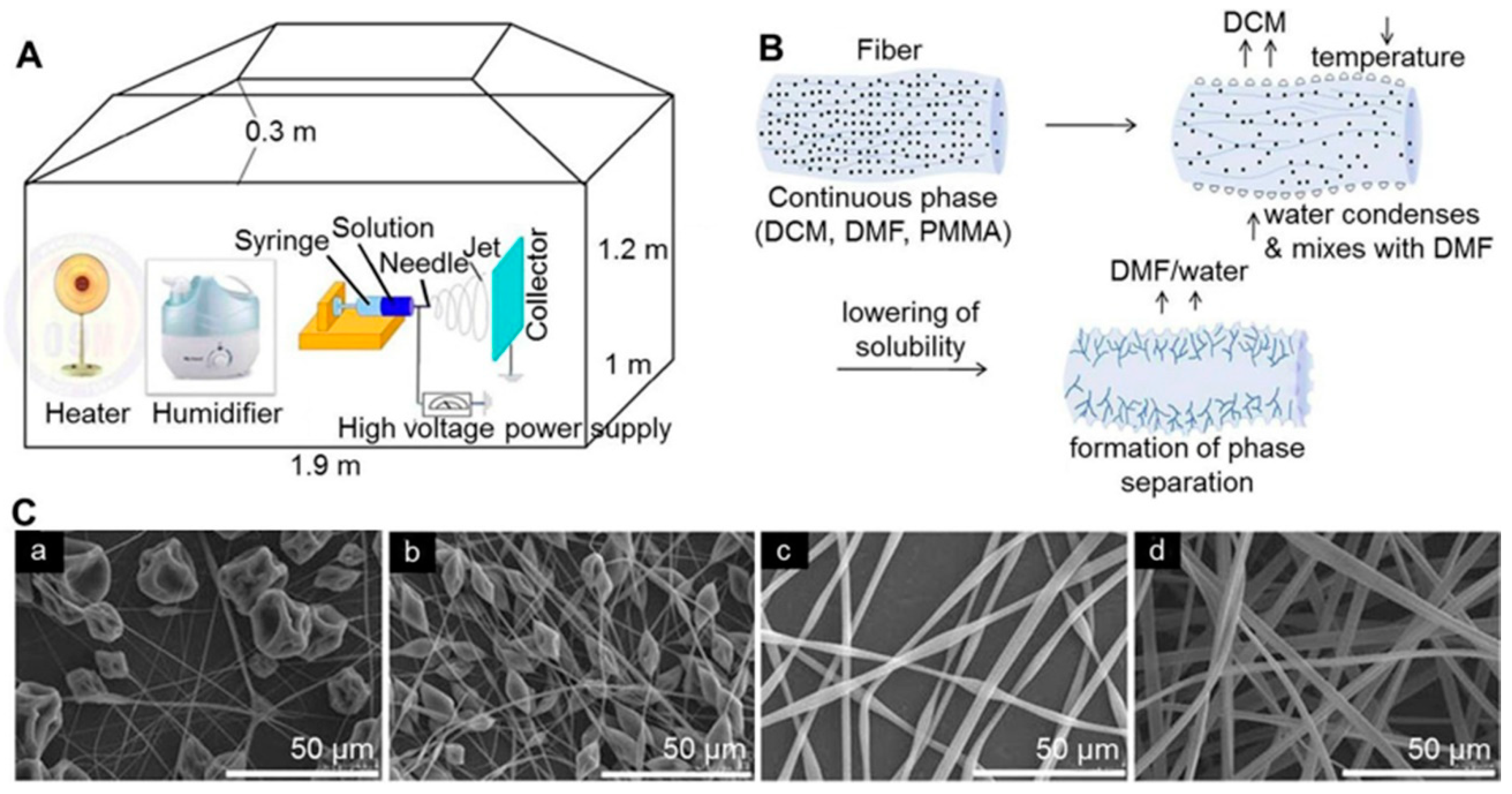 Molecules 24 00834 g008