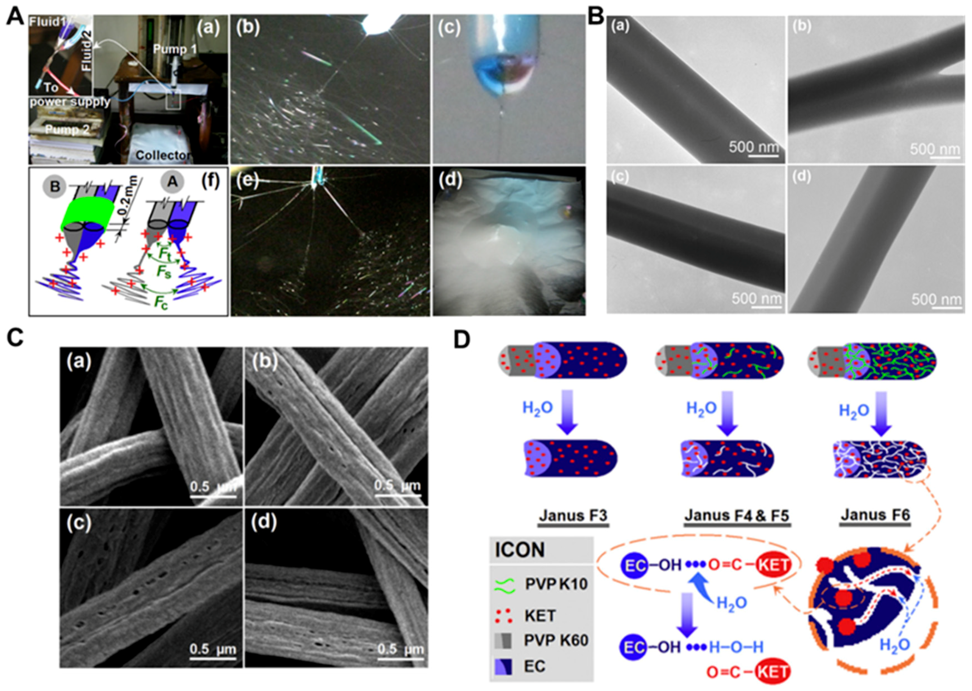 Molecules 24 00834 g010