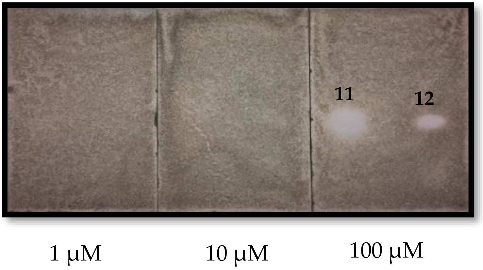 Molecules 24 00835 g004 550