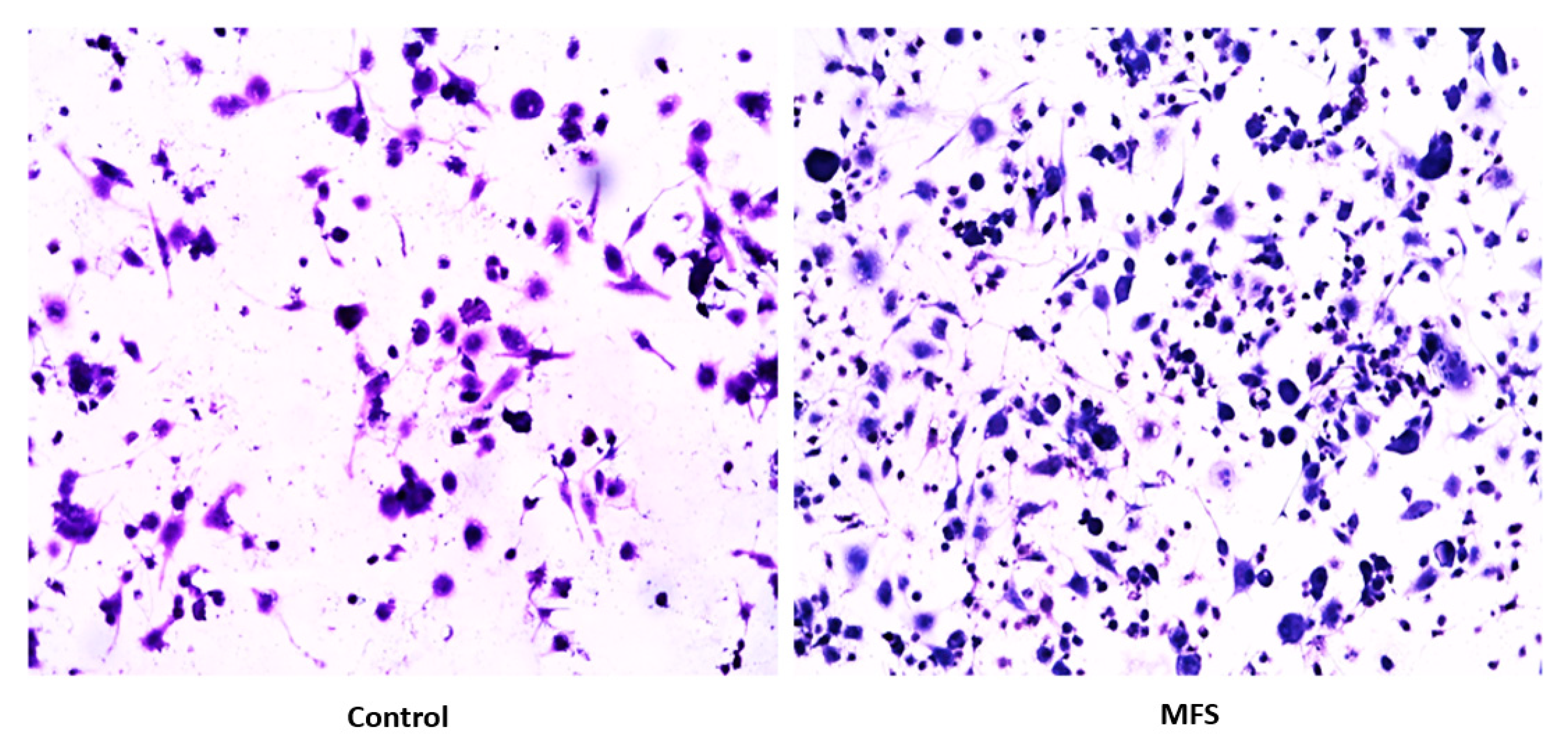 Molecules 24 00851 g002