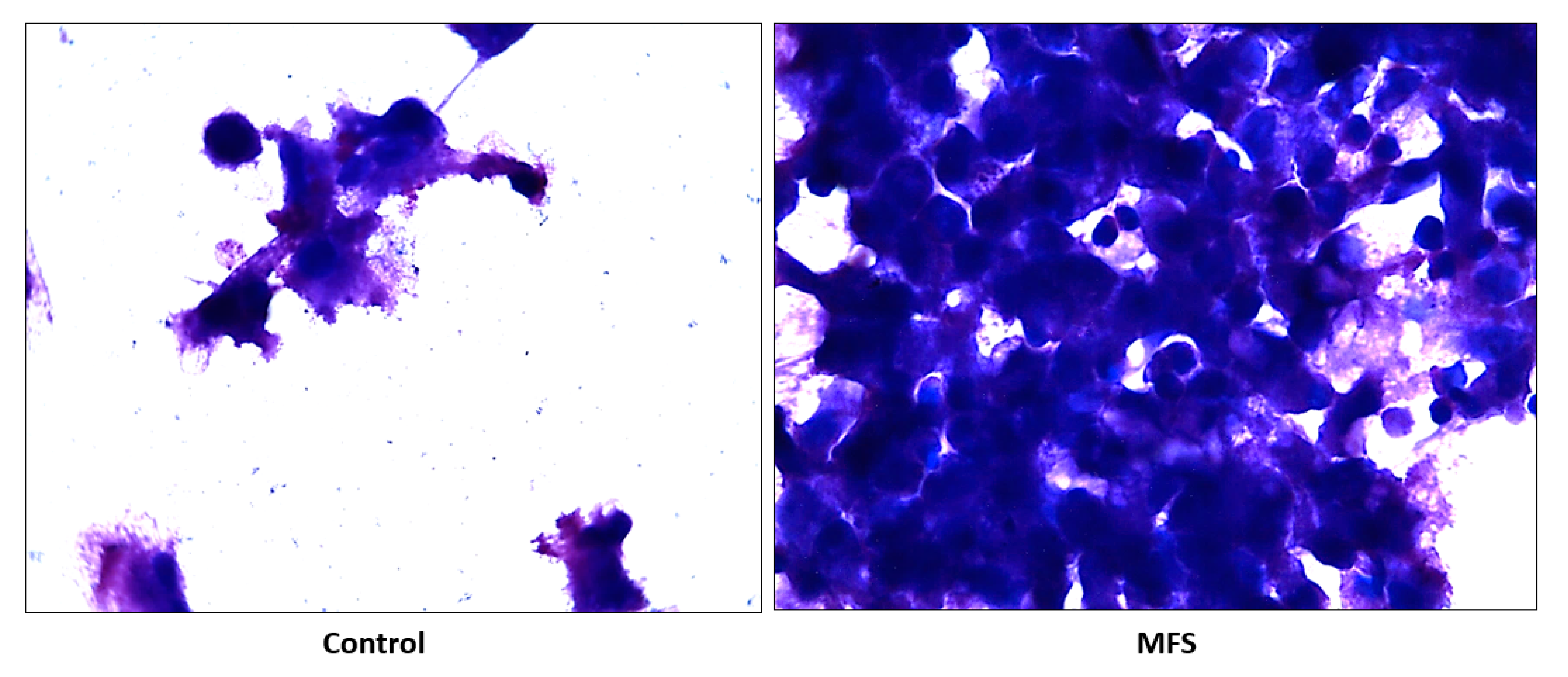 Molecules 24 00851 g006