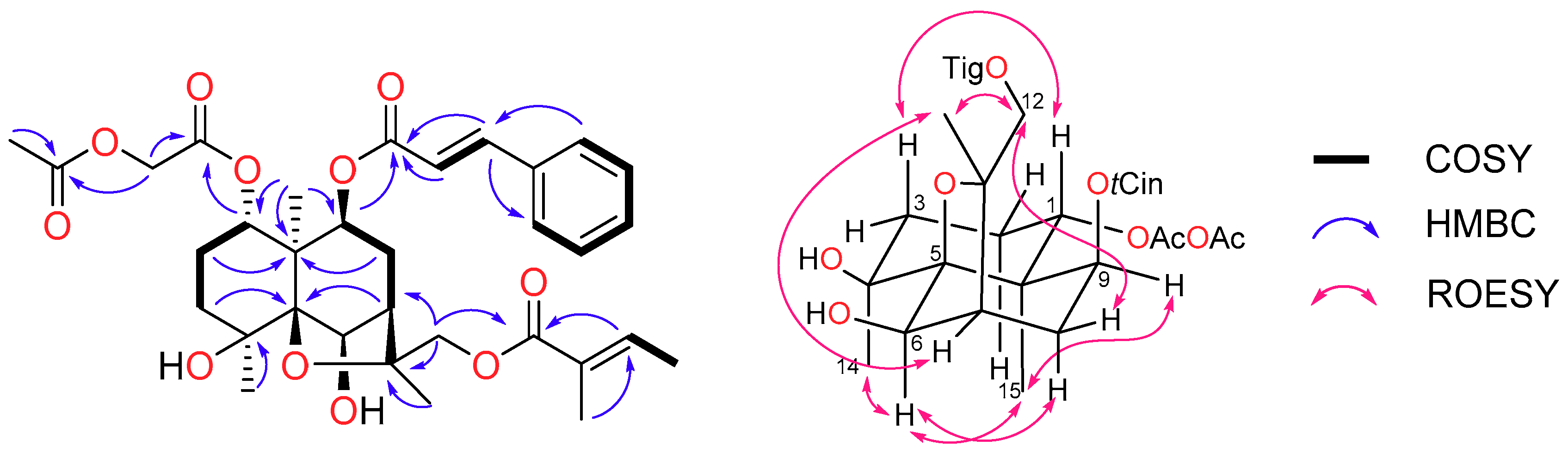 Molecules 24 00859 g004