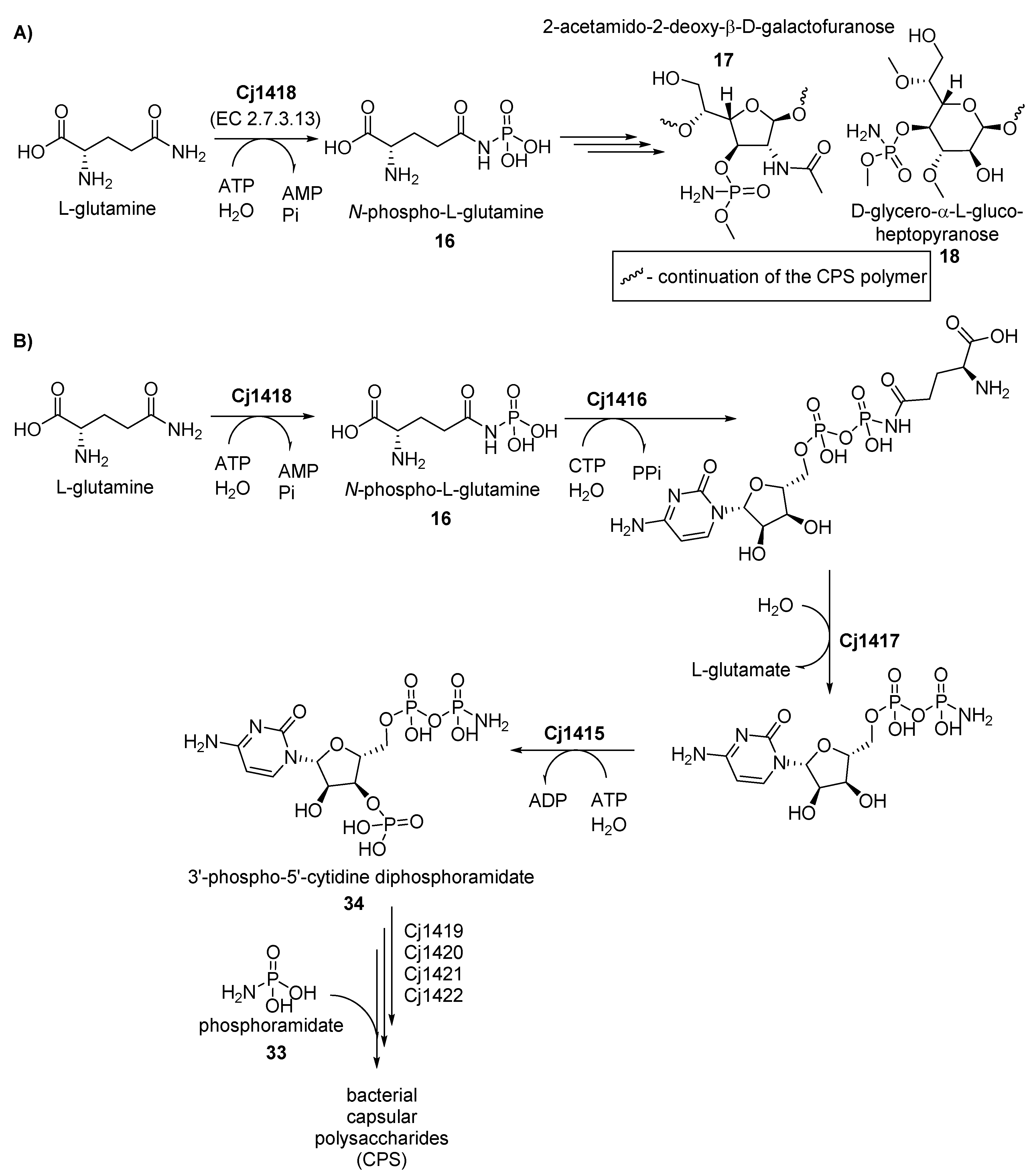 Molecules 24 00866 g003 Molecules 24 00866 g003
