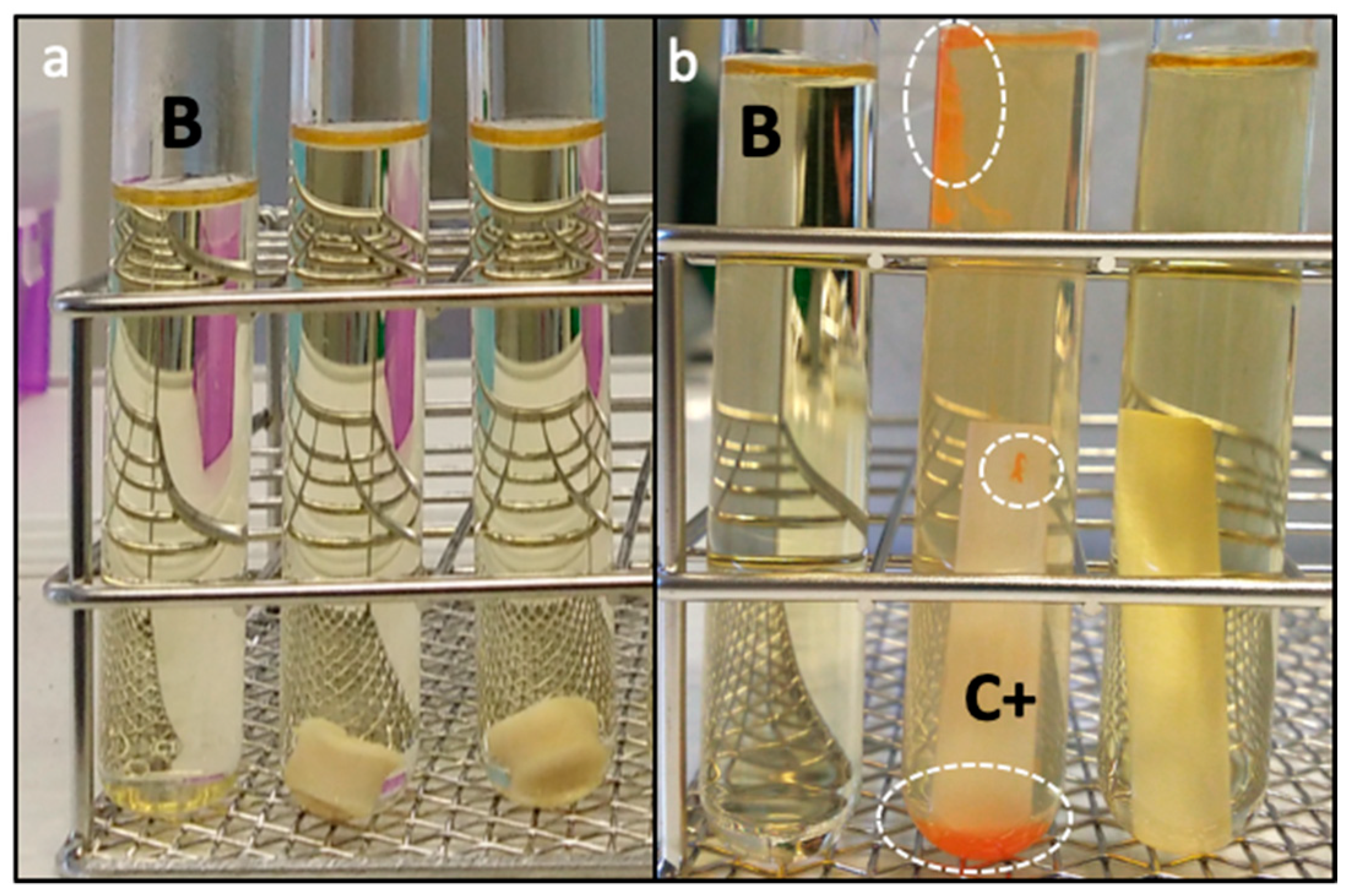 Molecules 24 00871 g005 Molecules 24 00871 g005