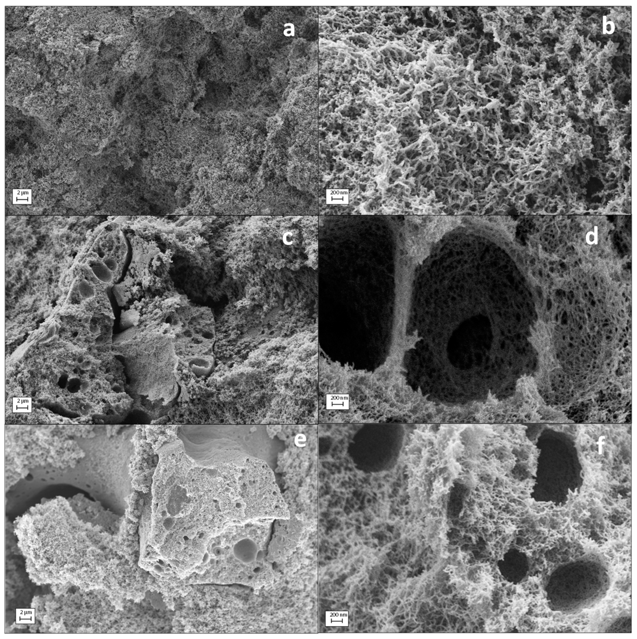 Molecules 24 00871 g006 Molecules 24 00871 g006